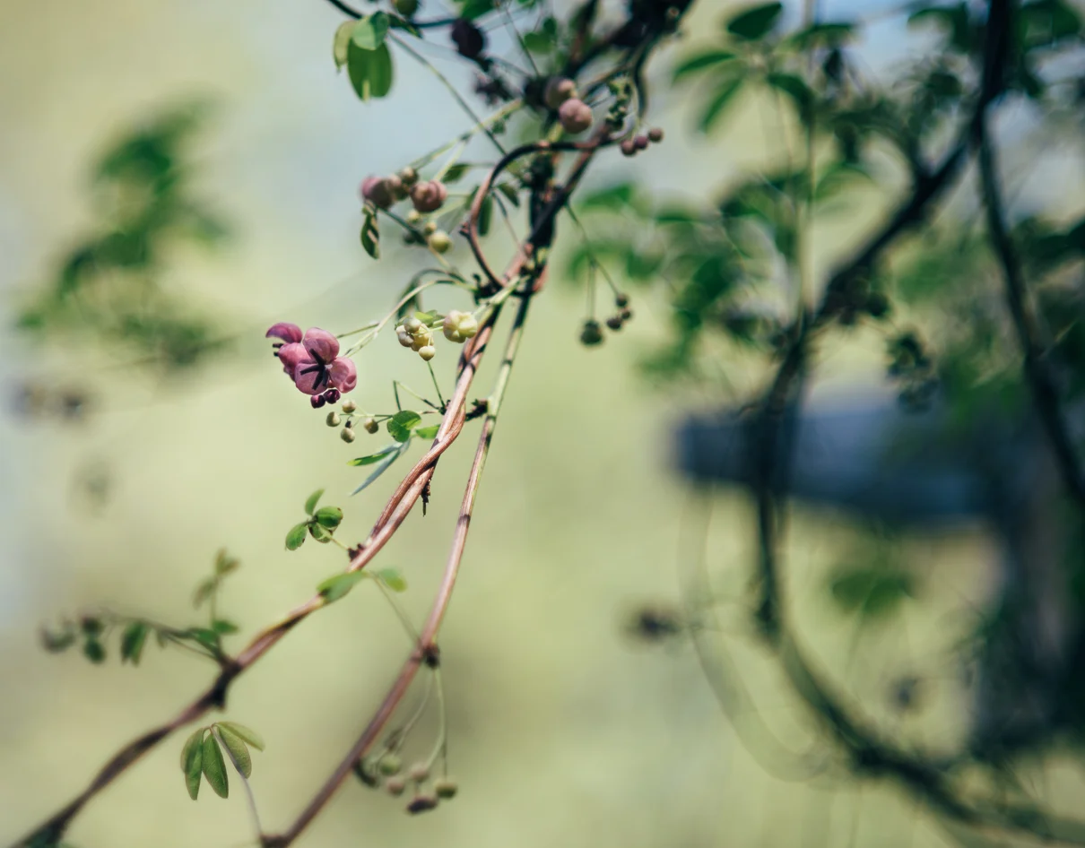 cathysly_20180424_3310.jpg
