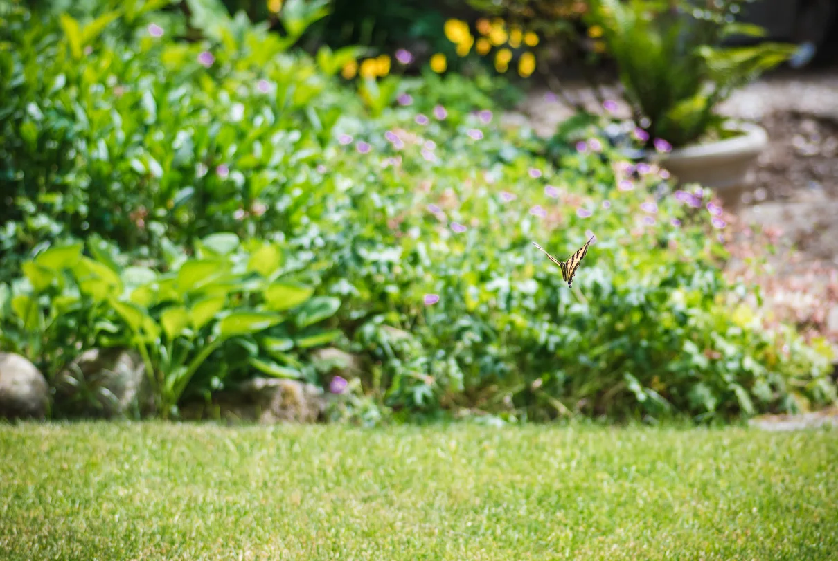 cathysly_20180602_4757-Edit.jpg