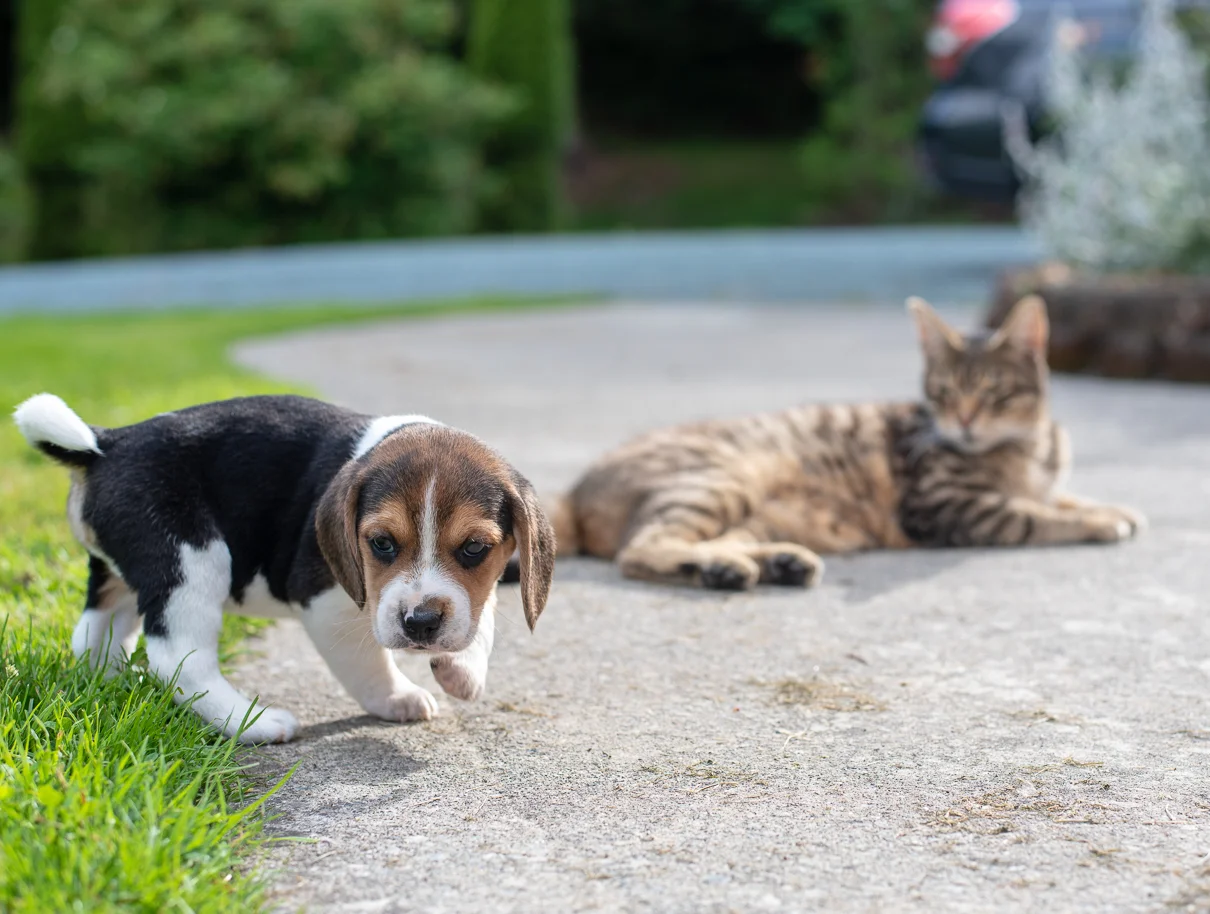 cathysly_20180613_5436.jpg