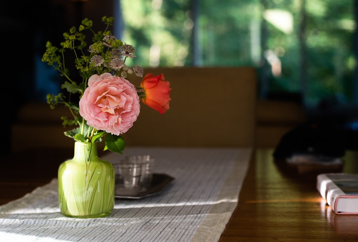 cathysly_20180623_5680.jpg