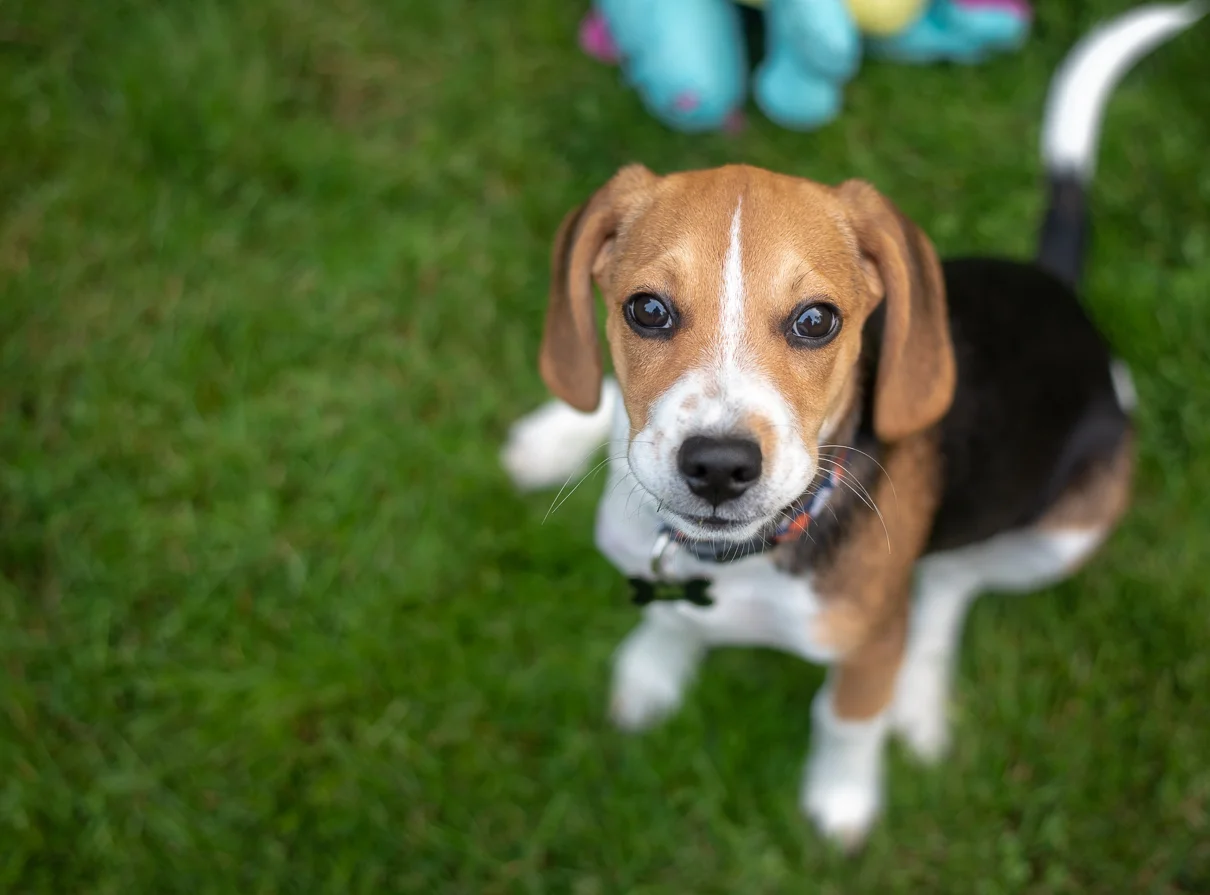 cathysly_20180814_7497.jpg