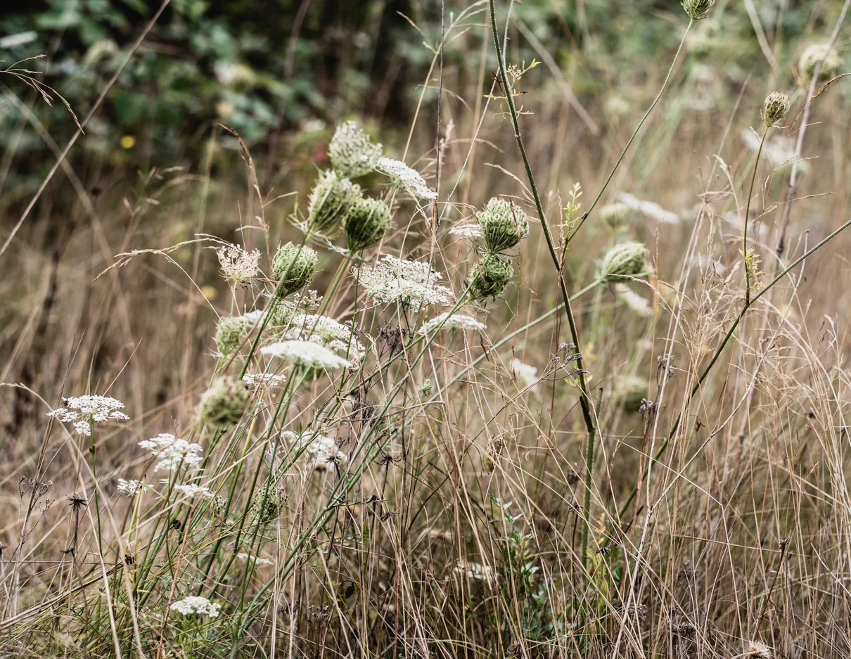 cathysly_20180908_8249.jpg