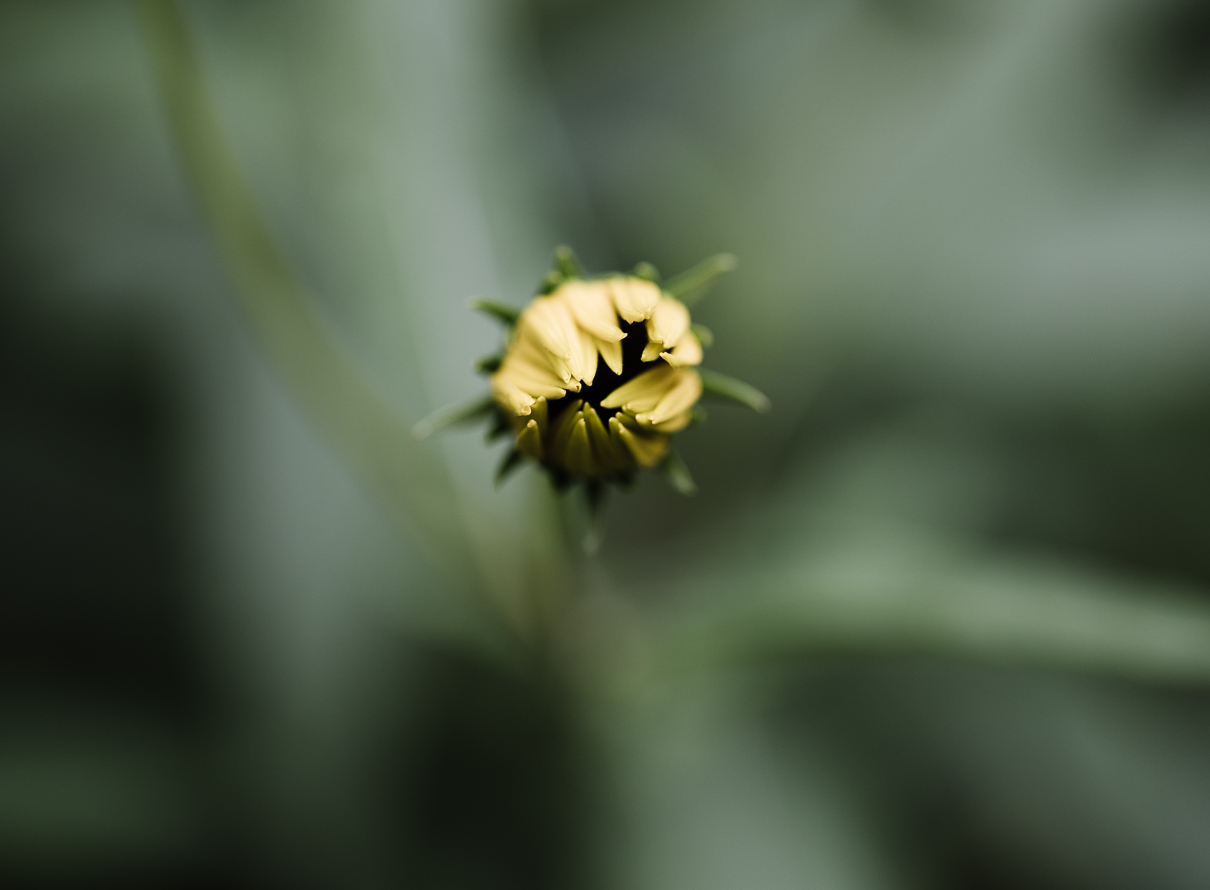 cathysly_20180915_8437.jpg