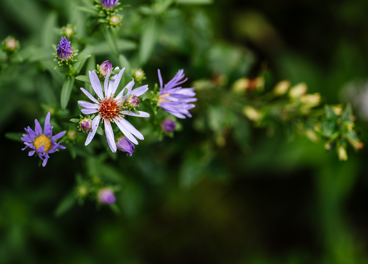 cathysly_20180915_8438.jpg