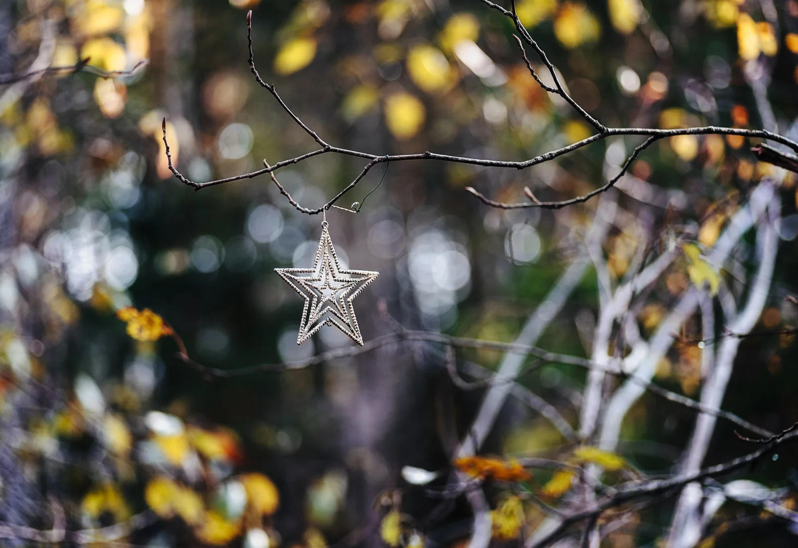cathysly_20181110_9711-Edit.jpg