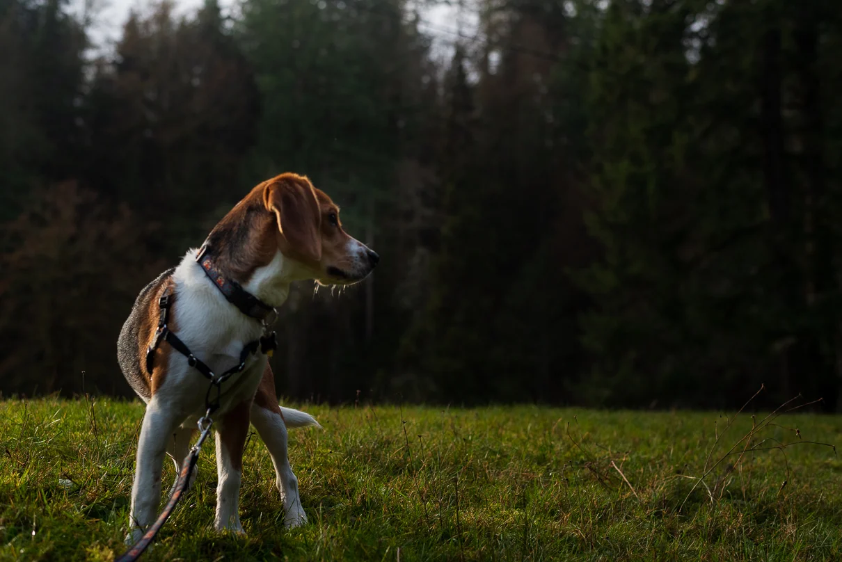 cathysly_20181210_0234-Edit.jpg