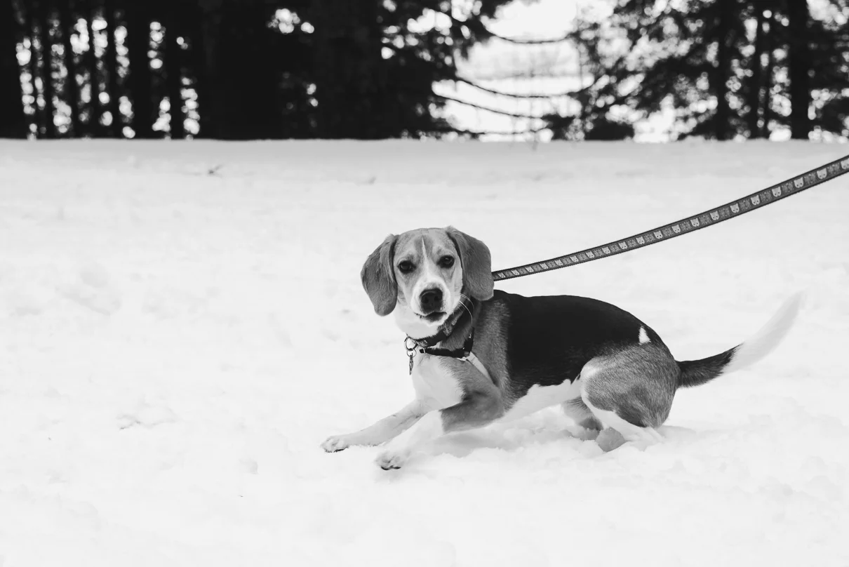 cathysly_20181215_0267-Edit.jpg