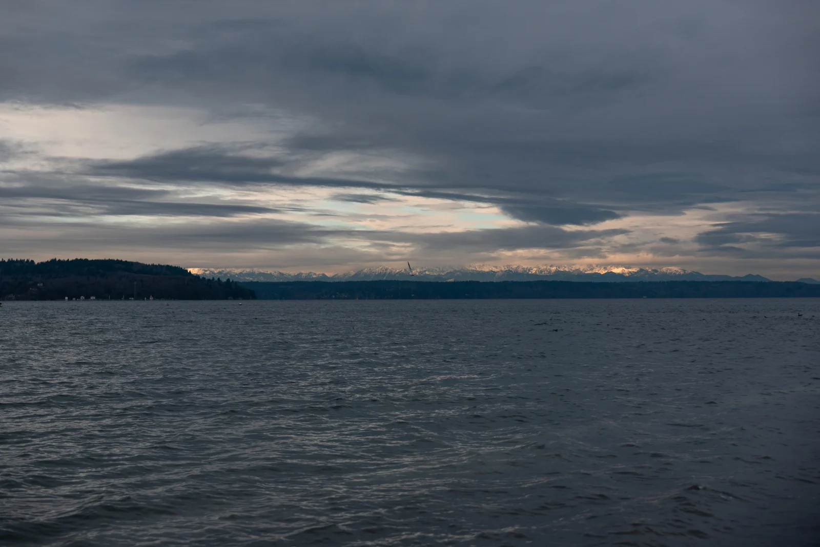 cathysly_20190102_0601.jpg