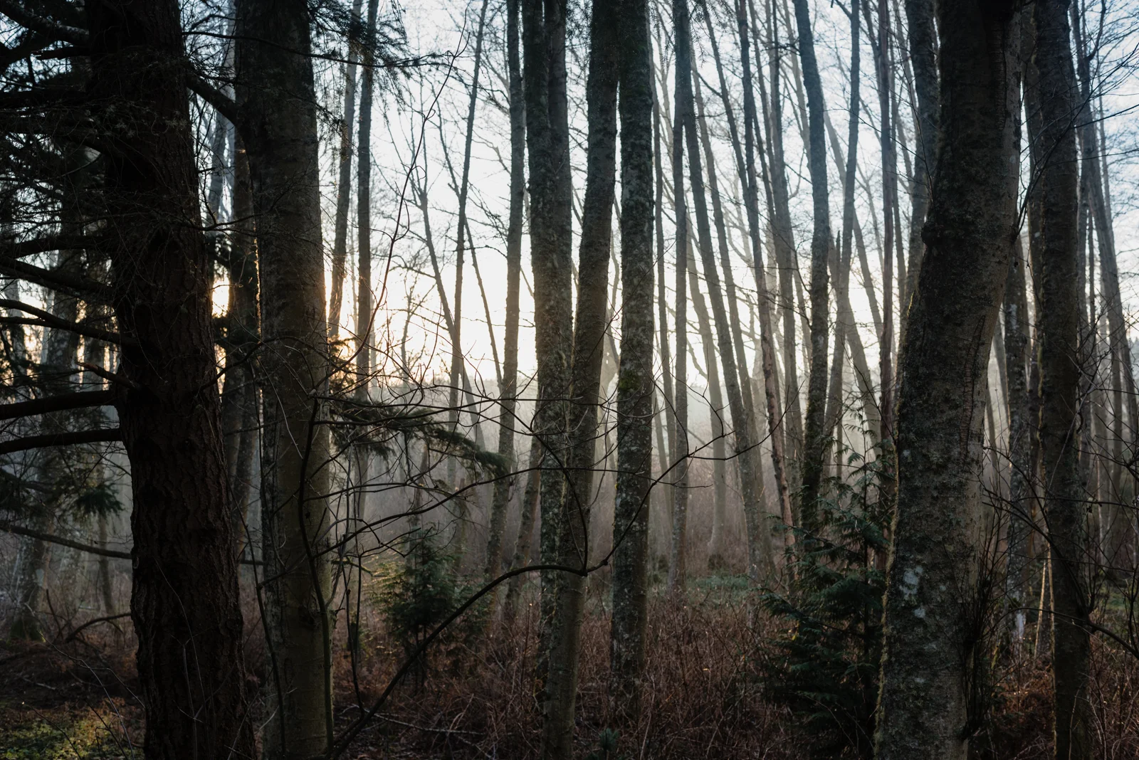 20190112-_JLY0797.jpg