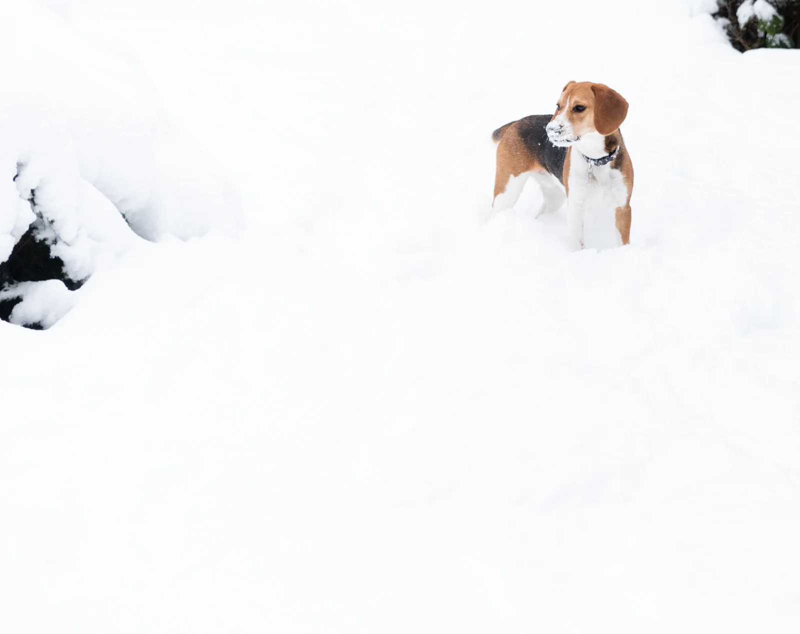 20190204-_JLY1568.jpg