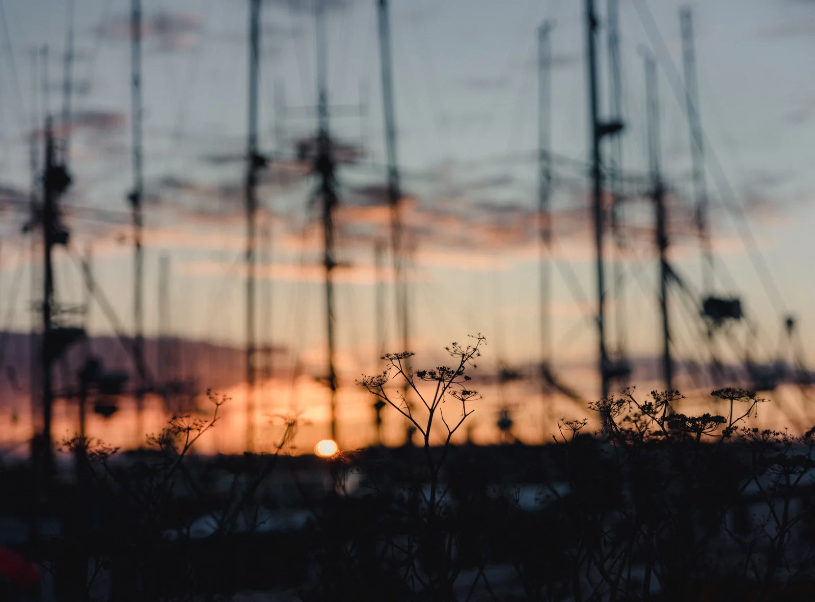 20190303-DSC_0022.jpg