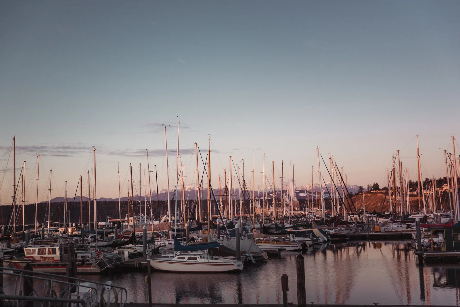 20190303-DSC_0025.jpg