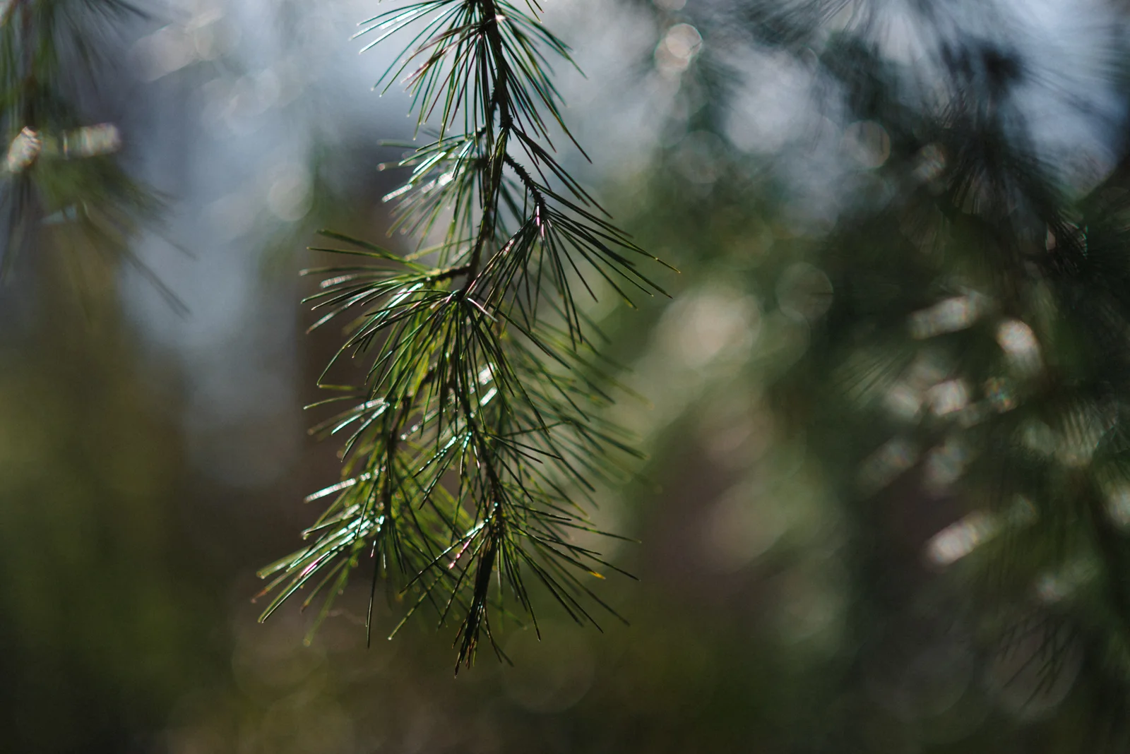 20190228-_JLY2935.jpg