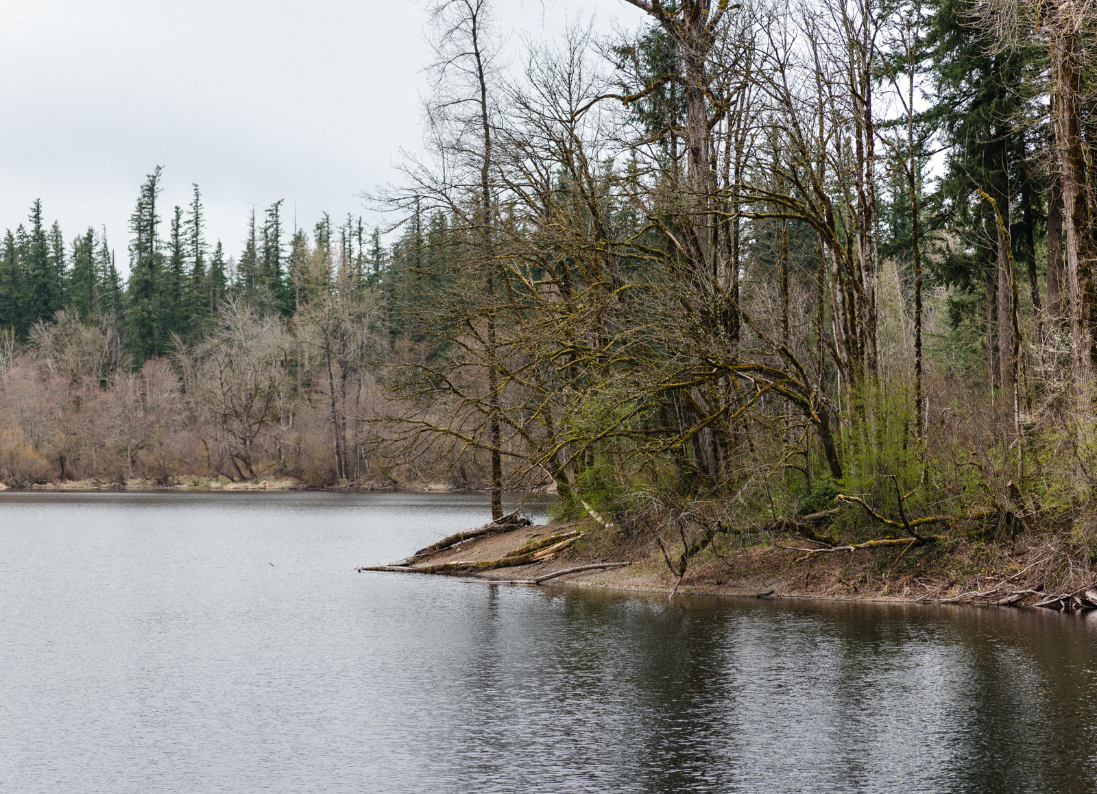 20190329-_DSC3832.jpg