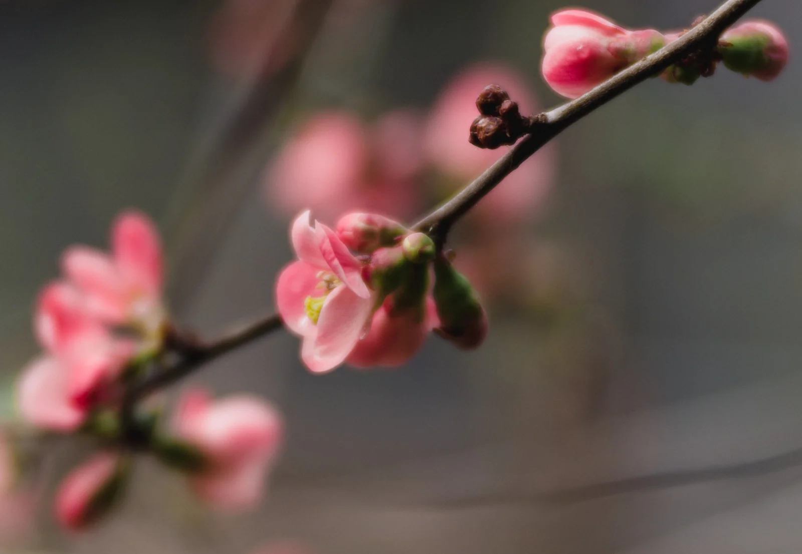 20190403-_DSC4047.jpg