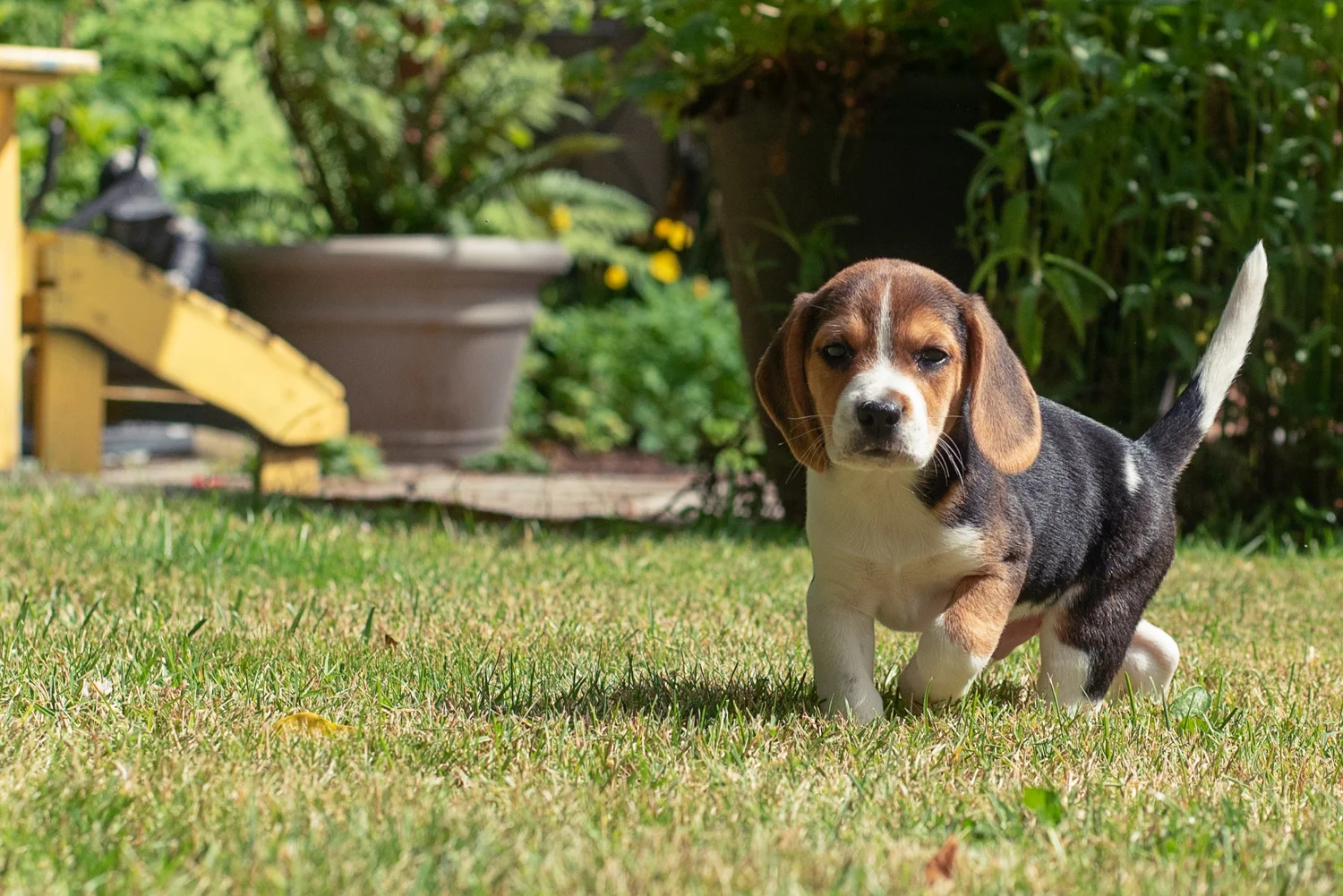 cathysly_20180702_5891-Edit.jpg