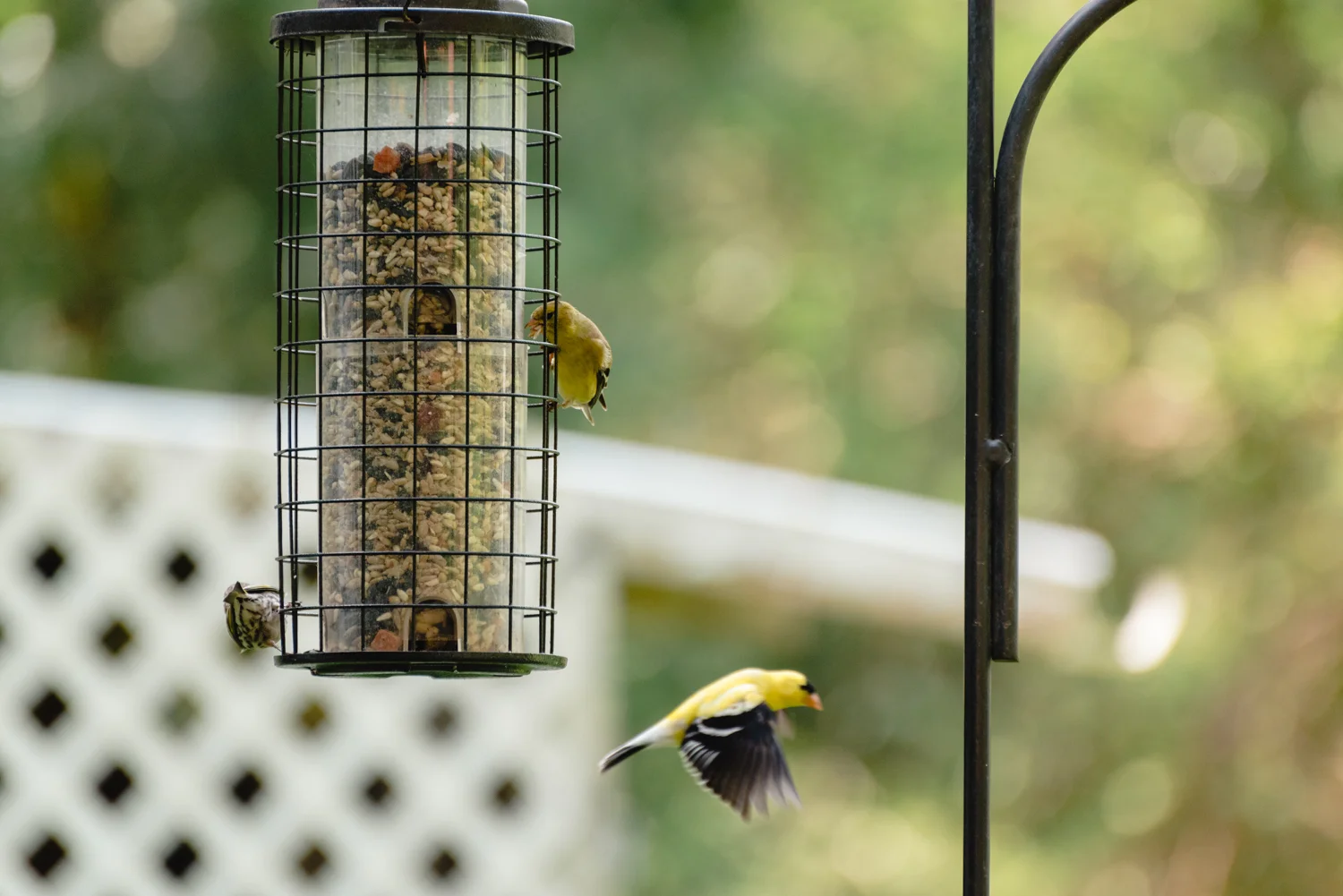 20190512-_DSC5423.jpg
