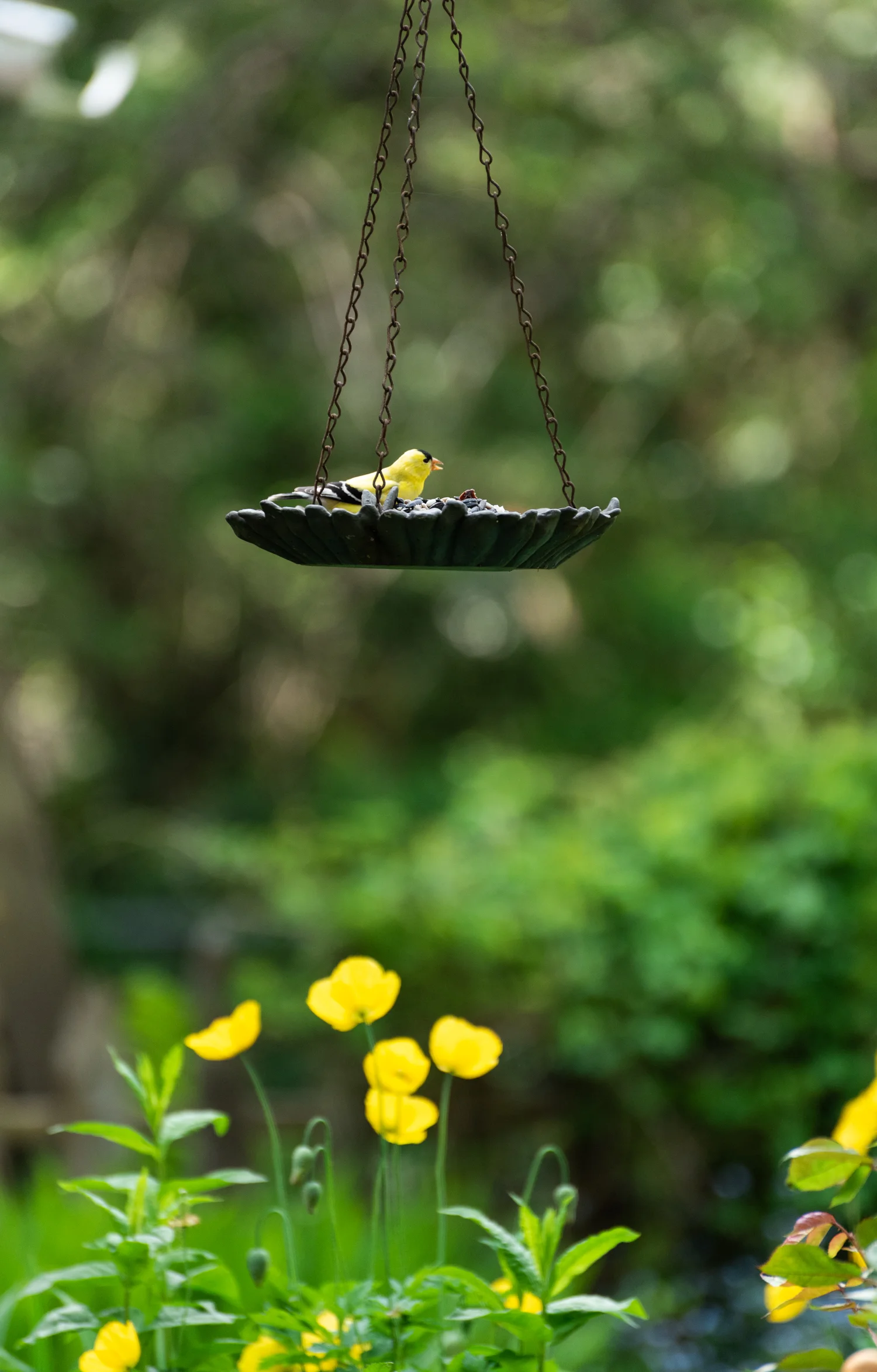 20190512-_DSC5456.jpg