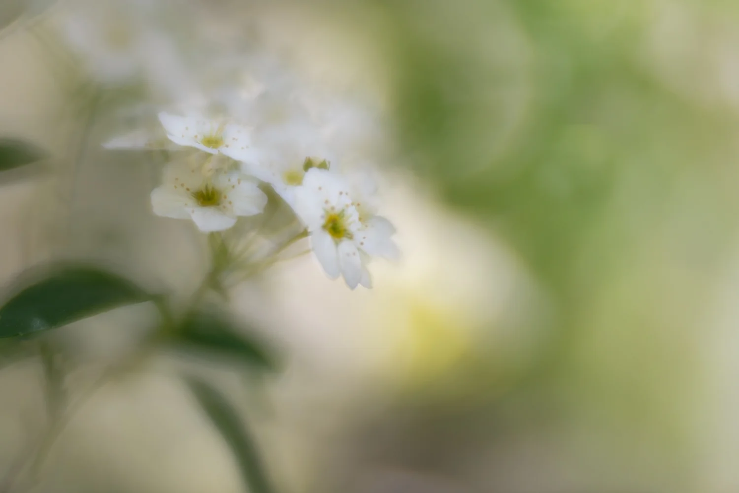 20190512-_DSC5503.jpg