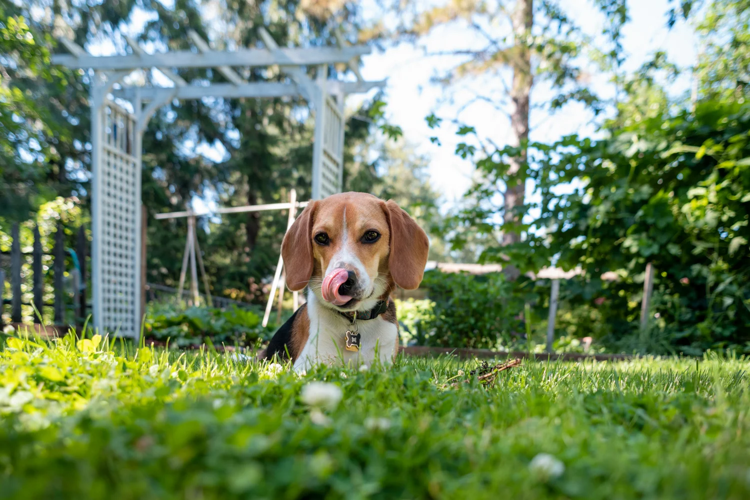 20190615-_DSC6311.jpg