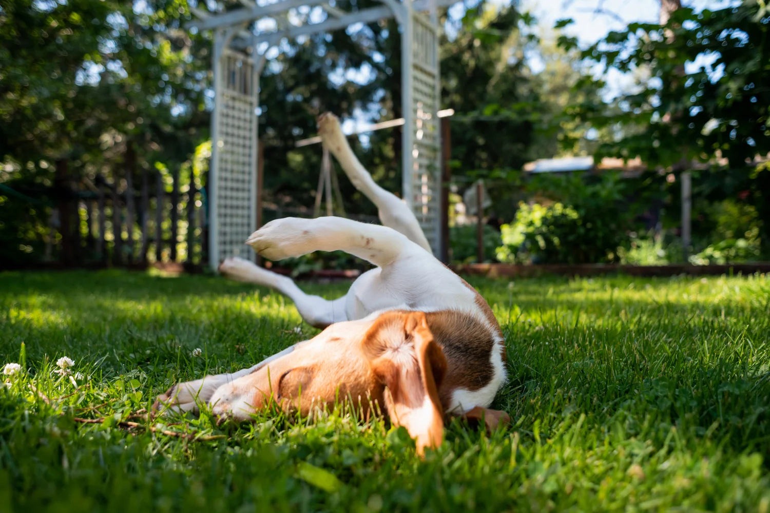 20190615-_DSC6316.jpg