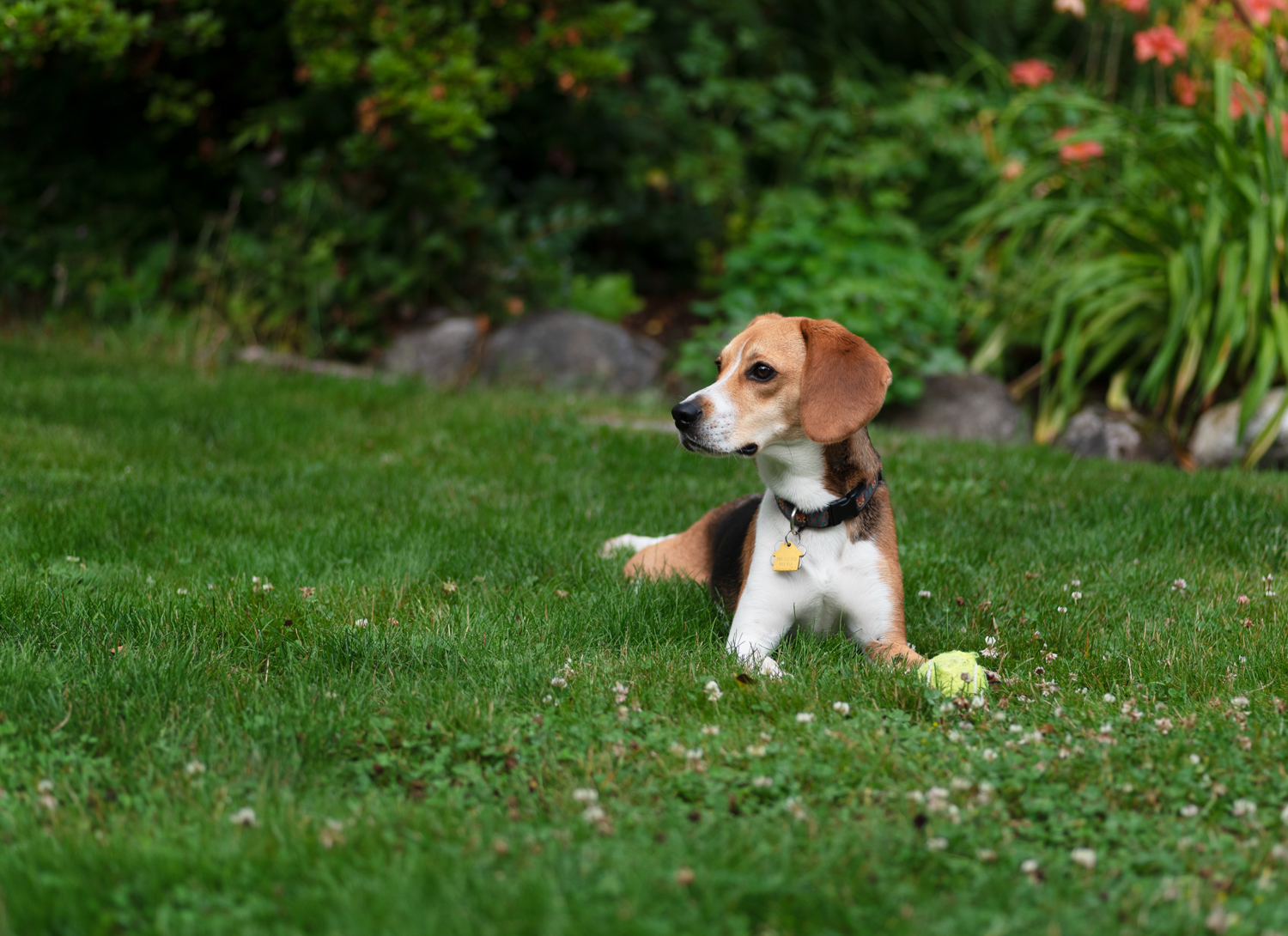 20190715-_DSC6767-Edit.jpg