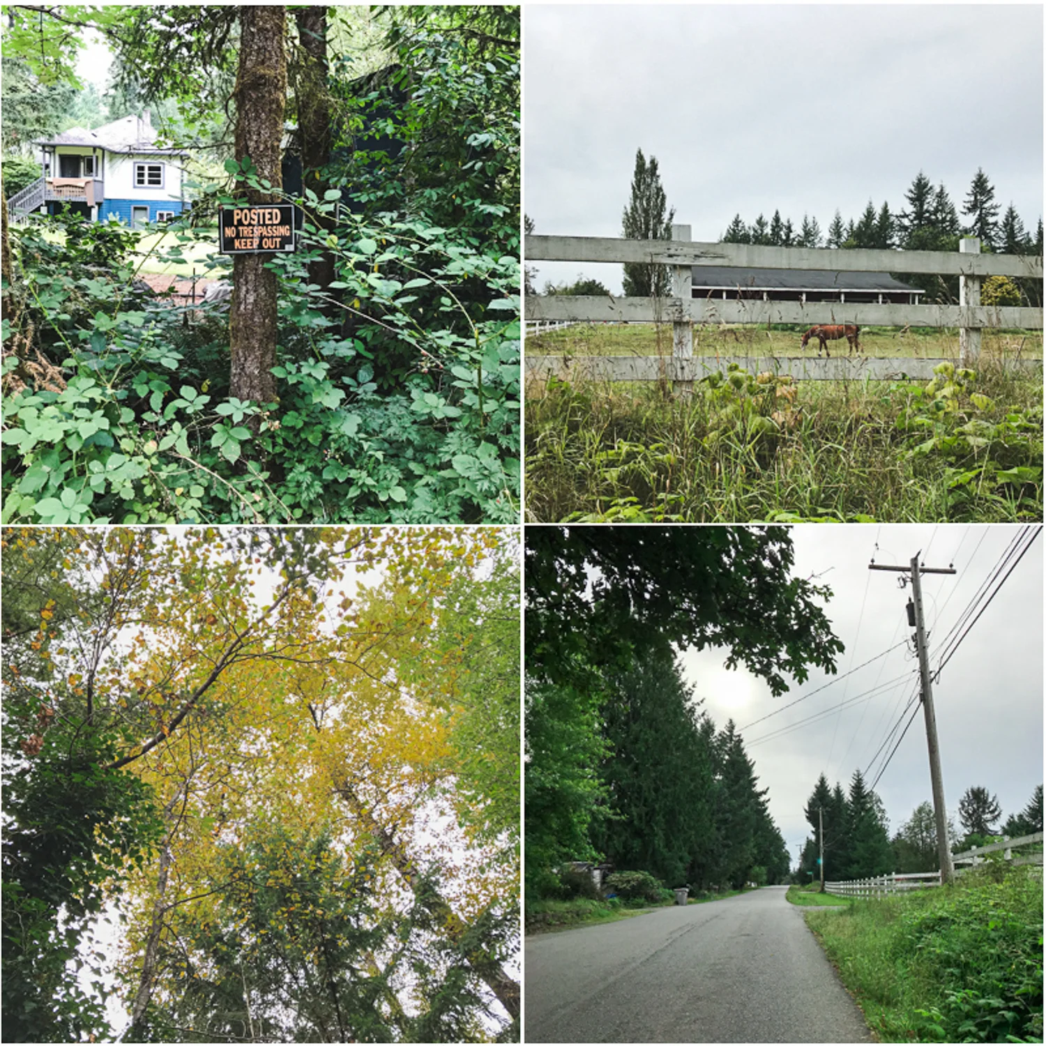 20190824-walk_.jpg