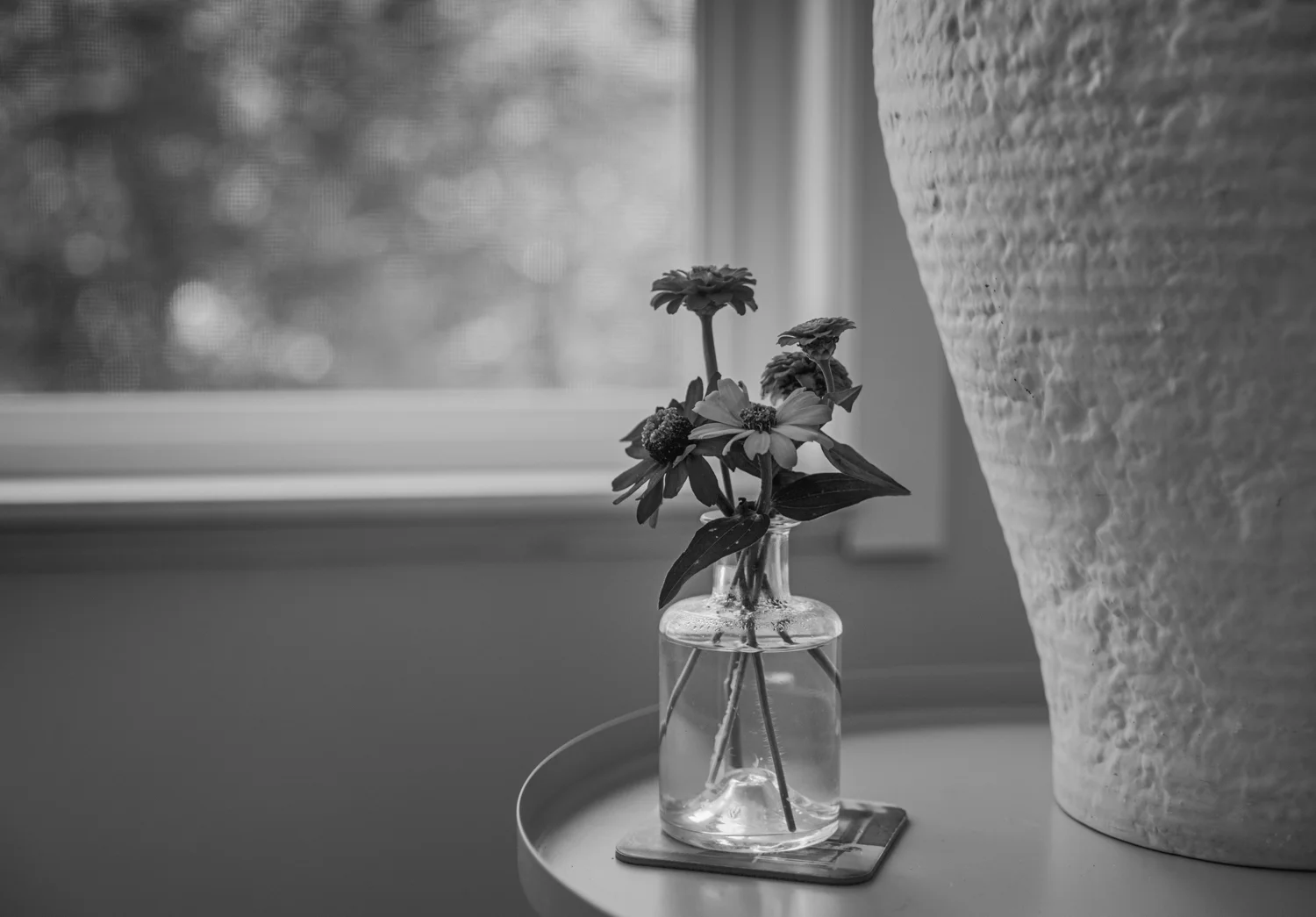 20190904-_DSC8042.jpg