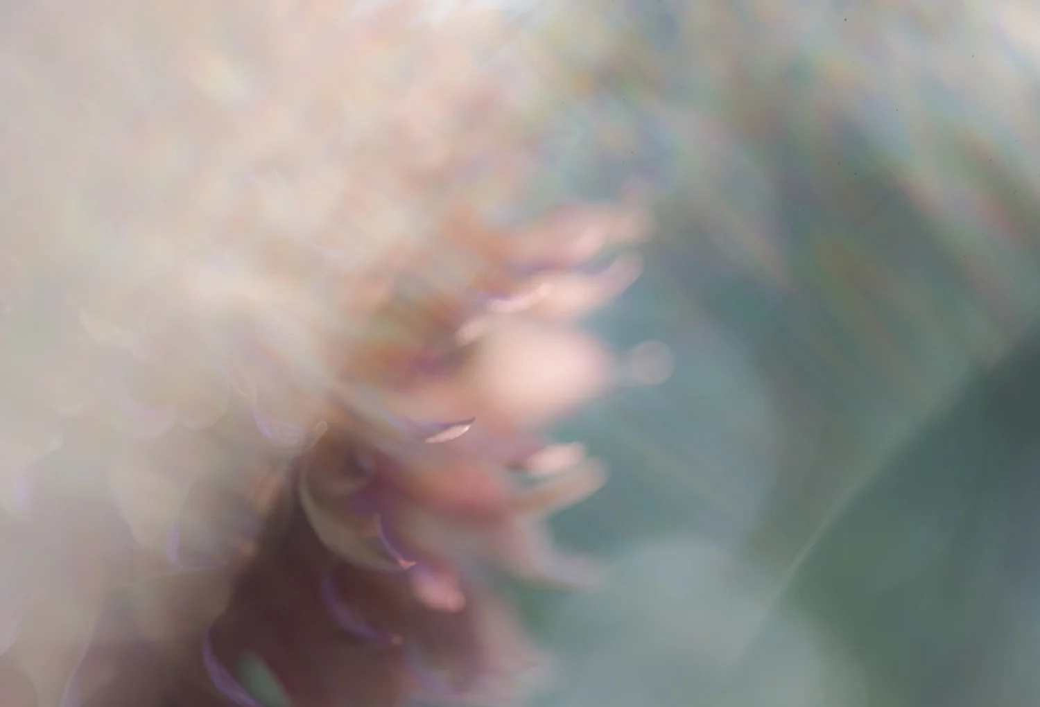 20190901-_DSC7921.jpg