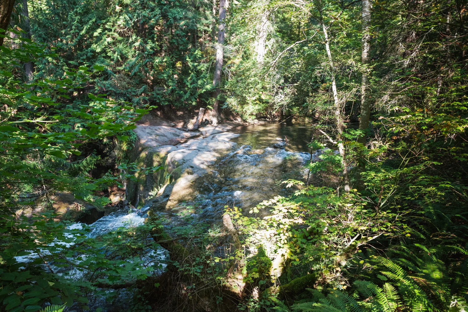 20191009-_DSC8349.jpg