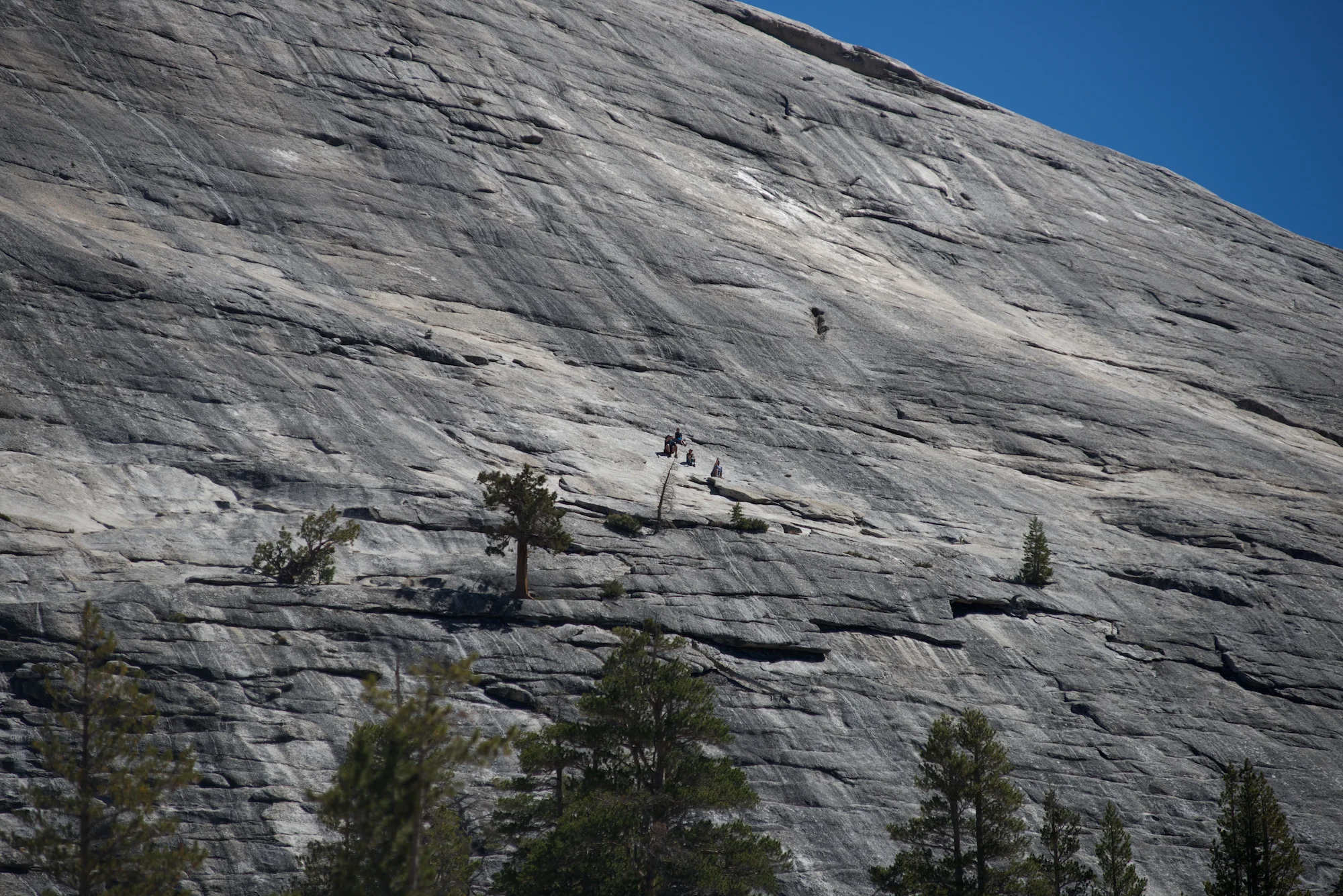 Yosemite National Park2.jpg