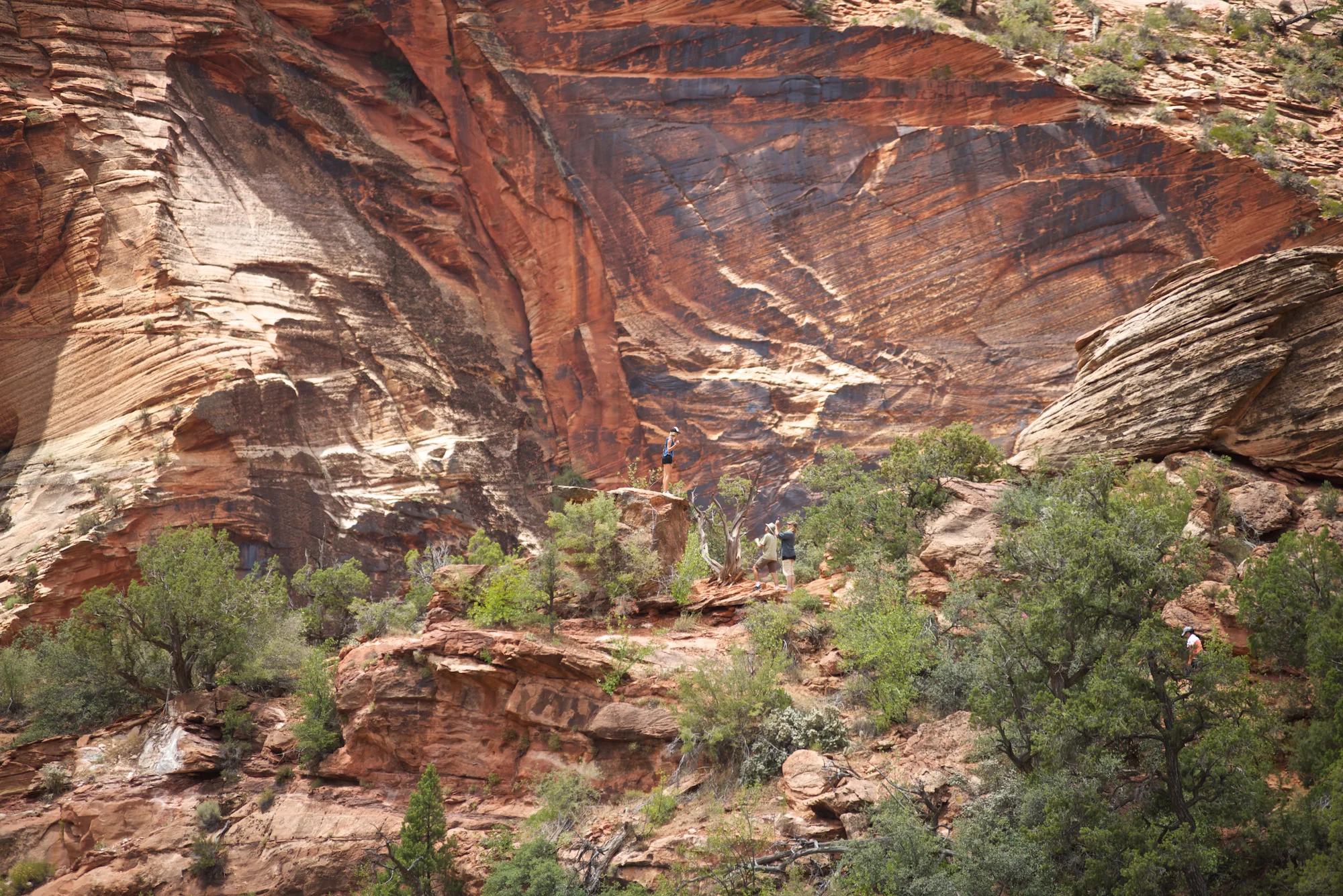 Zion National Park2.jpg