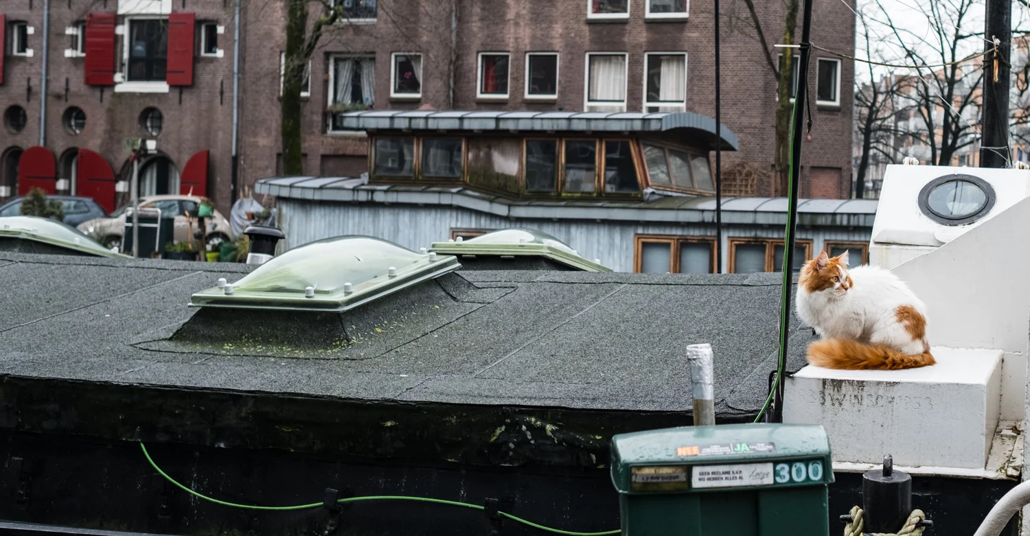 Amsterdam-75.jpg