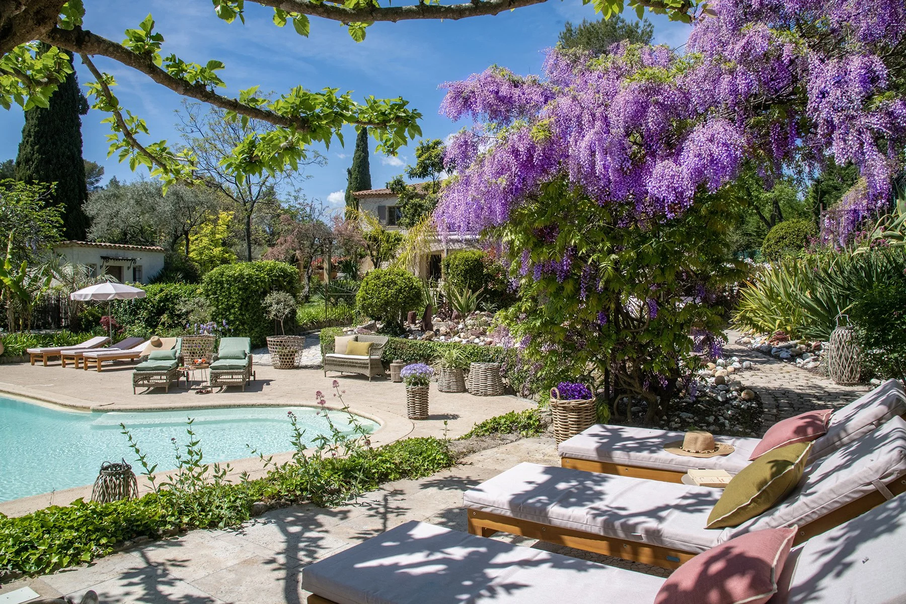 BD Glycines Messugues_5756.jpg