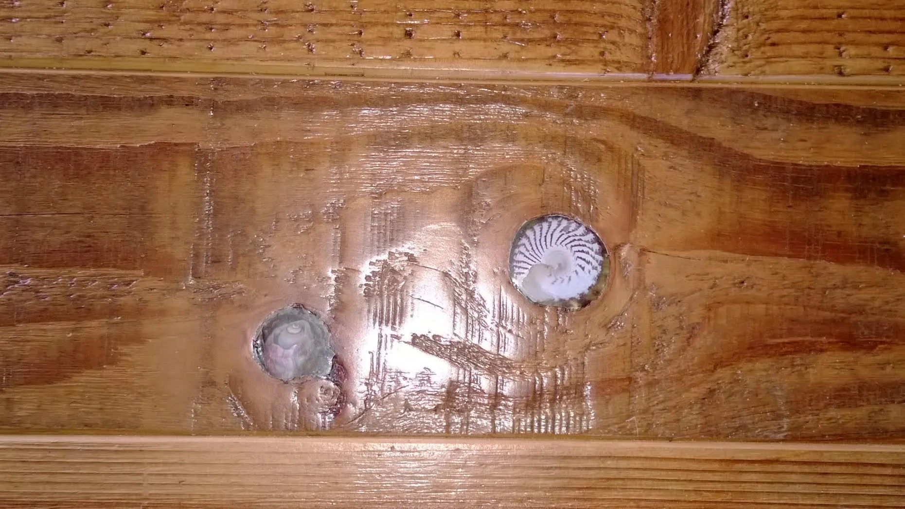 Filling Knot Holes In Hardwood Flooring Floor Roma