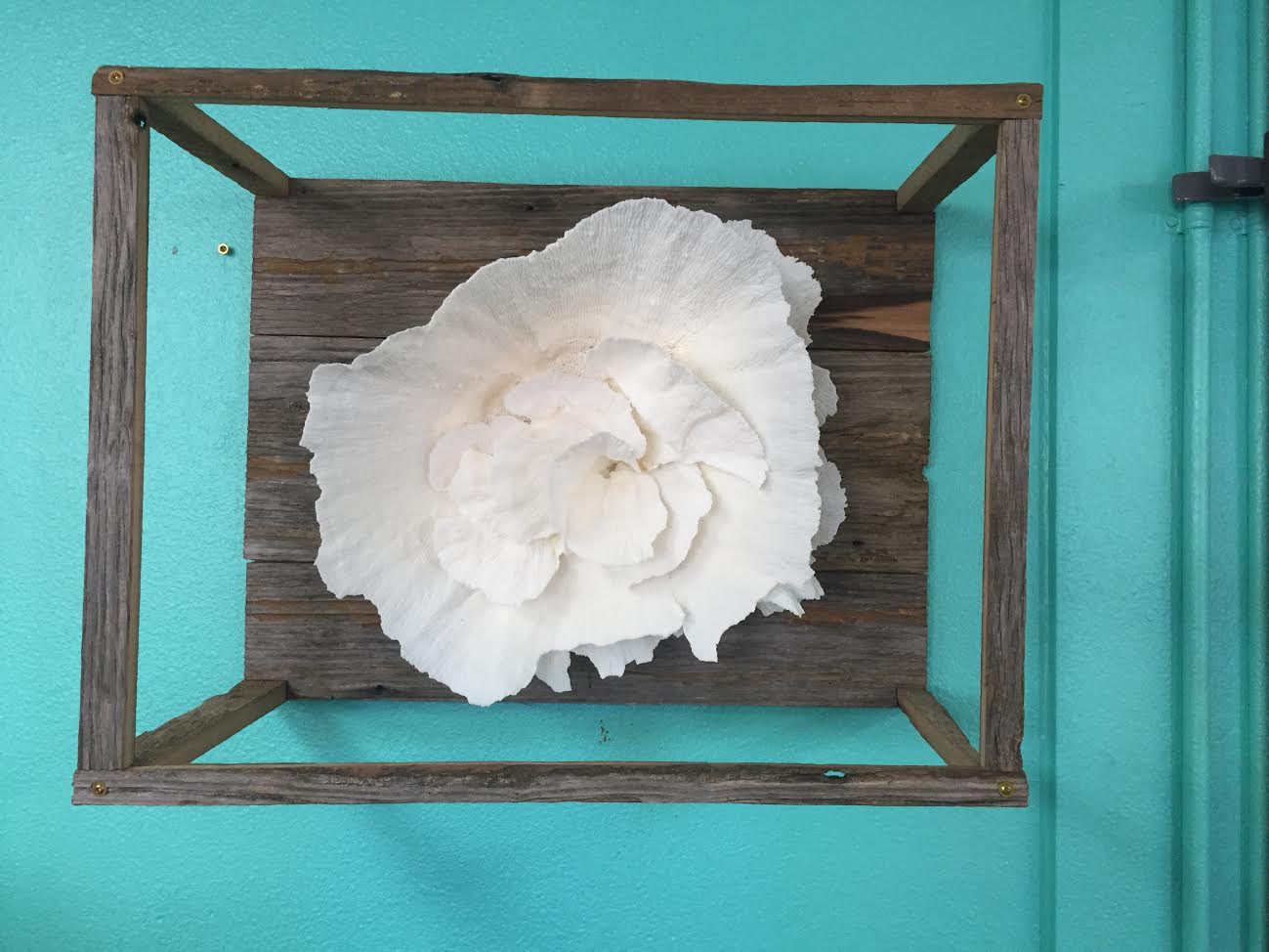 Rustic Coral Design