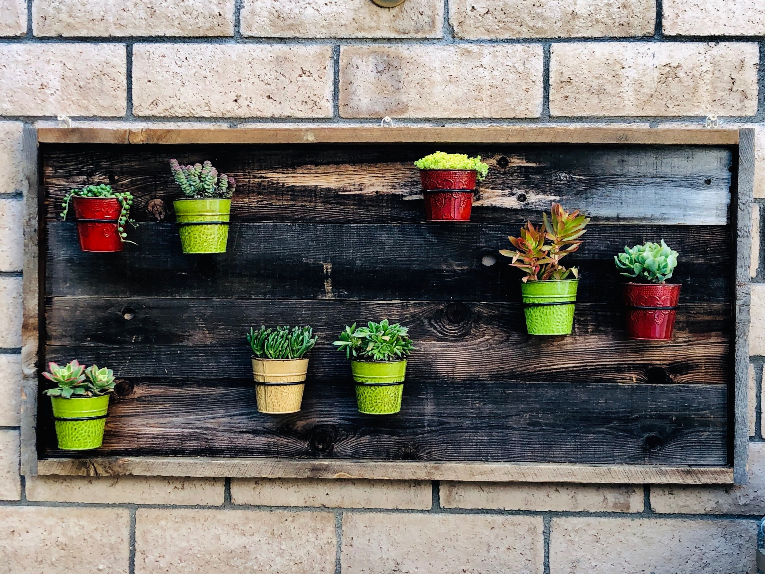 Reclaimed succulent wall