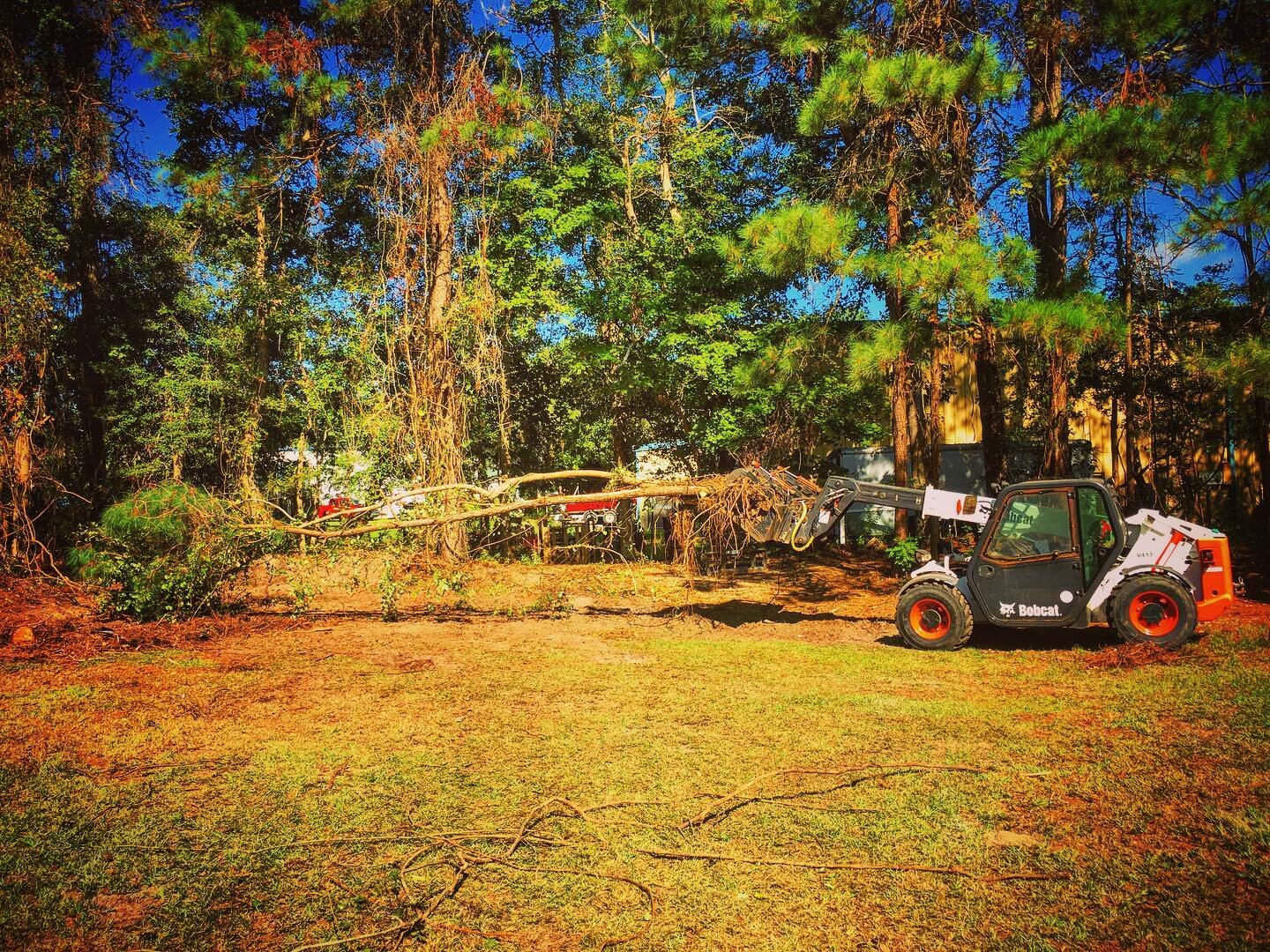 Setting up for the pole vaulting event..... or heavy equipment jousting 😂 #bobcatequipment #telehandler #obx #heavyequipment #equipmentoperator #treeclearing #lotclearing #treework #stihlms462