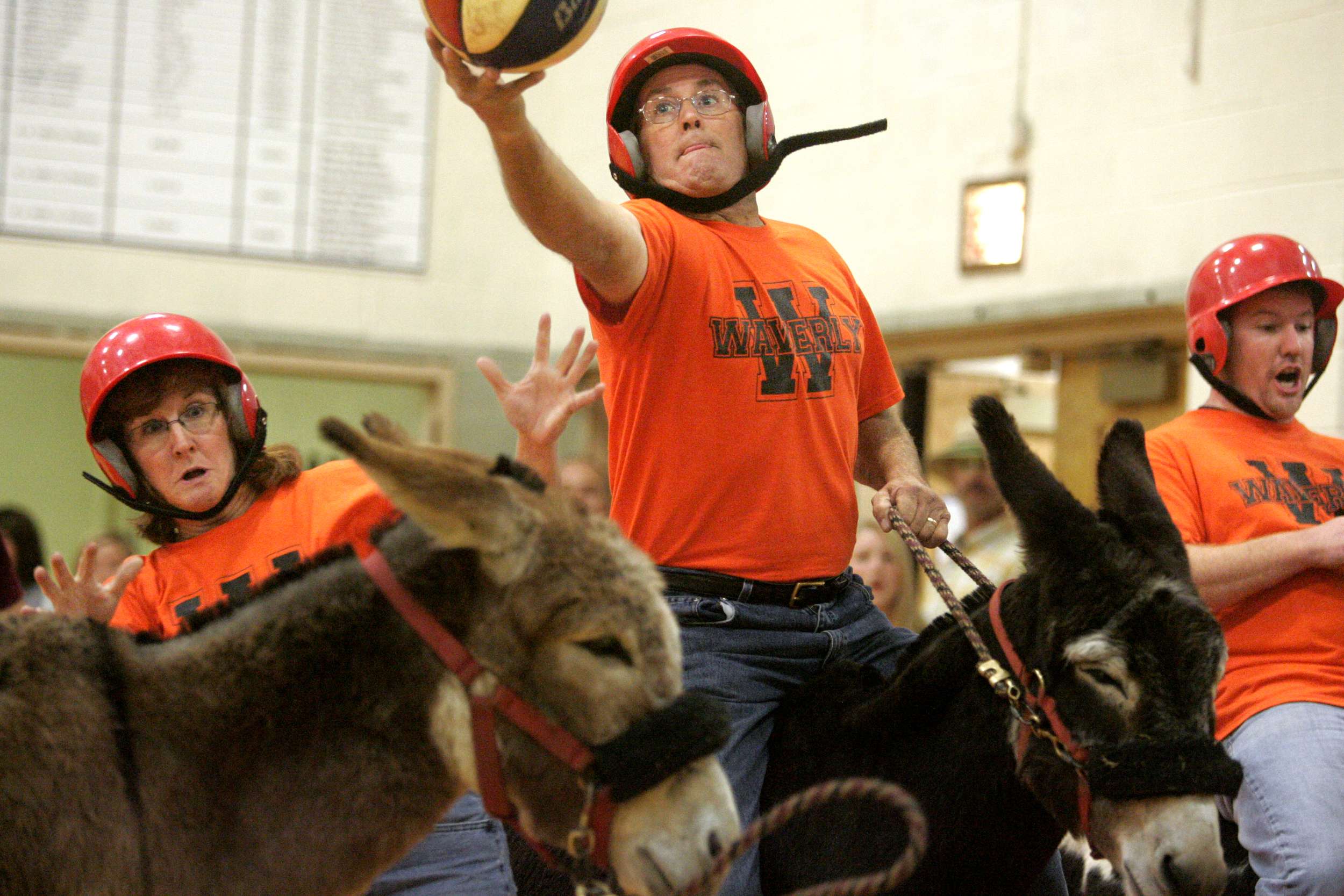  Debbie Etychison (left) drops the reins of her donkey in the confusion of going after a loose ball, which Chuck Ross (center) eventually recovered during a game of Donkey Basketball at Waverly Elementary. Fellow teammate Bill Pool tries to control h