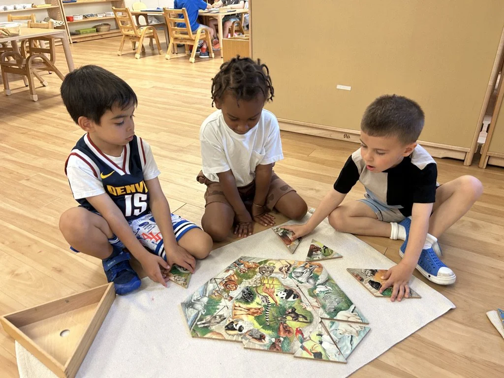 The Benefits of Multi-Age Grouping