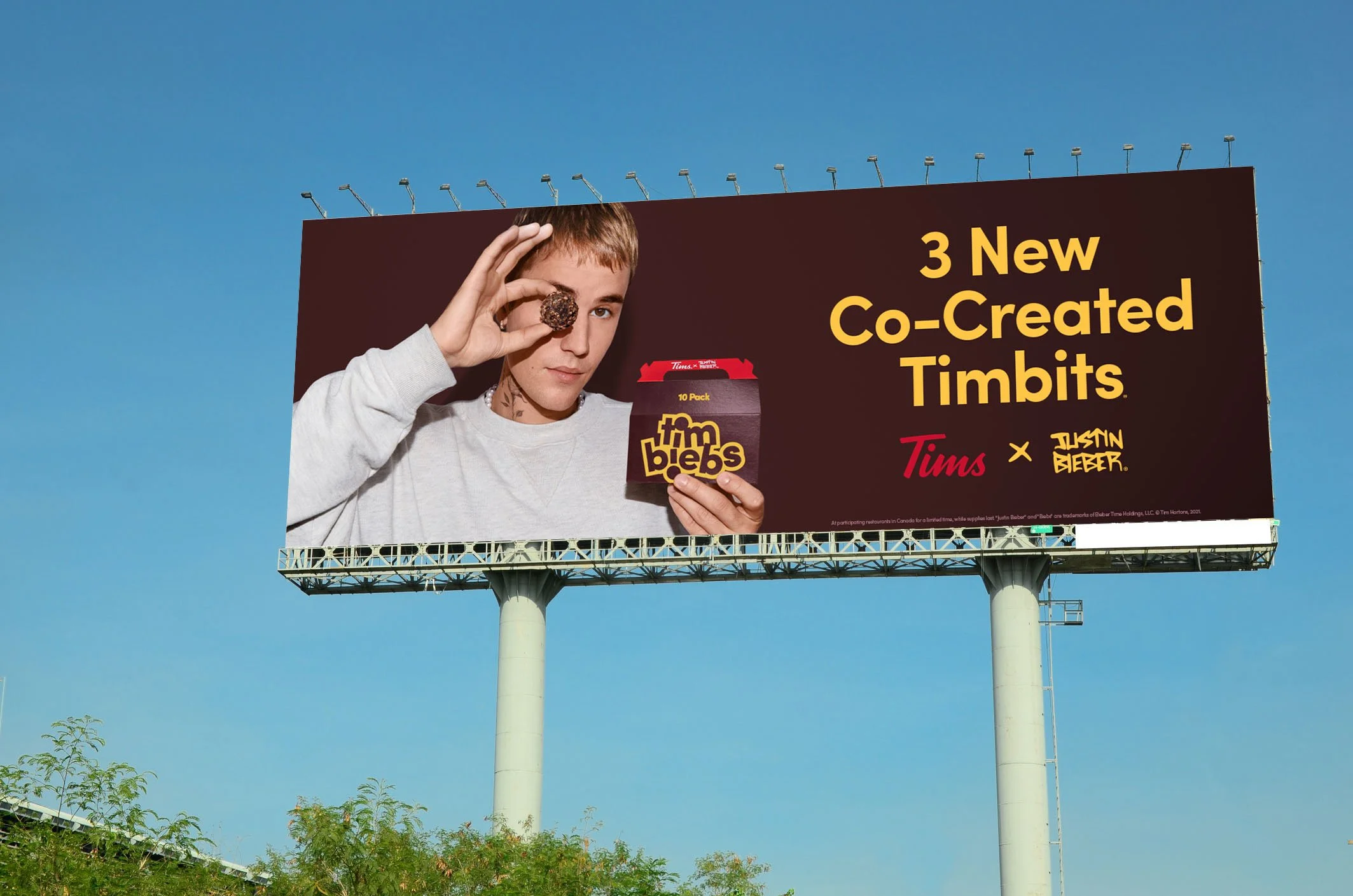 Oct28_TH_timbiebs_OOH_CANADA_.jpeg