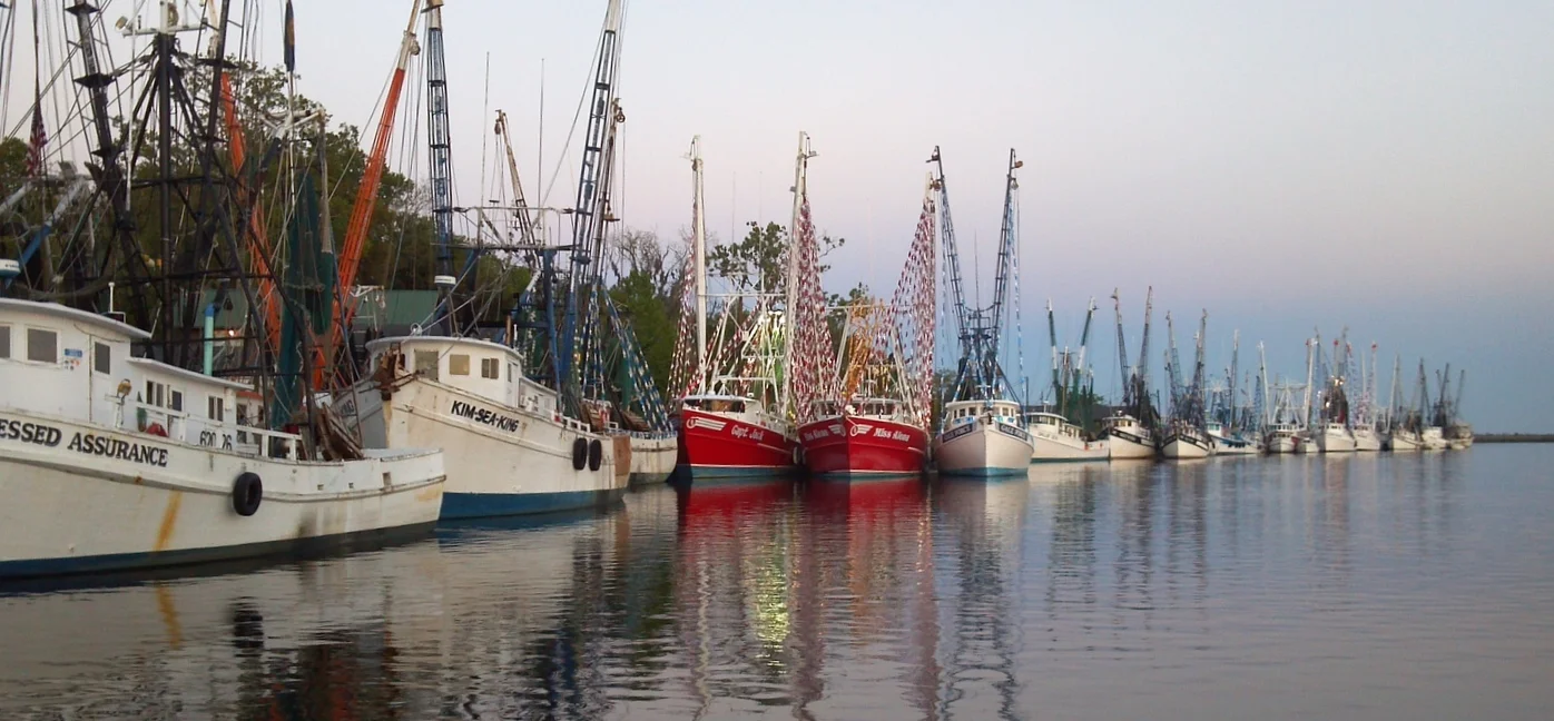 darienshrimpfleet.jpg