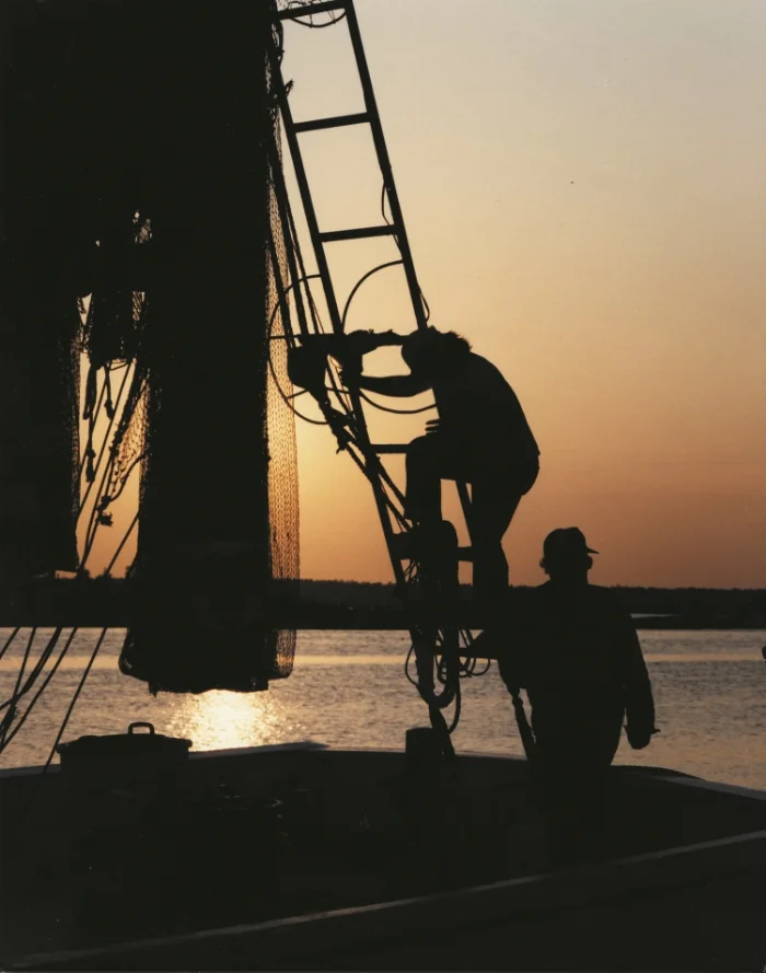 shrimpers.jpg