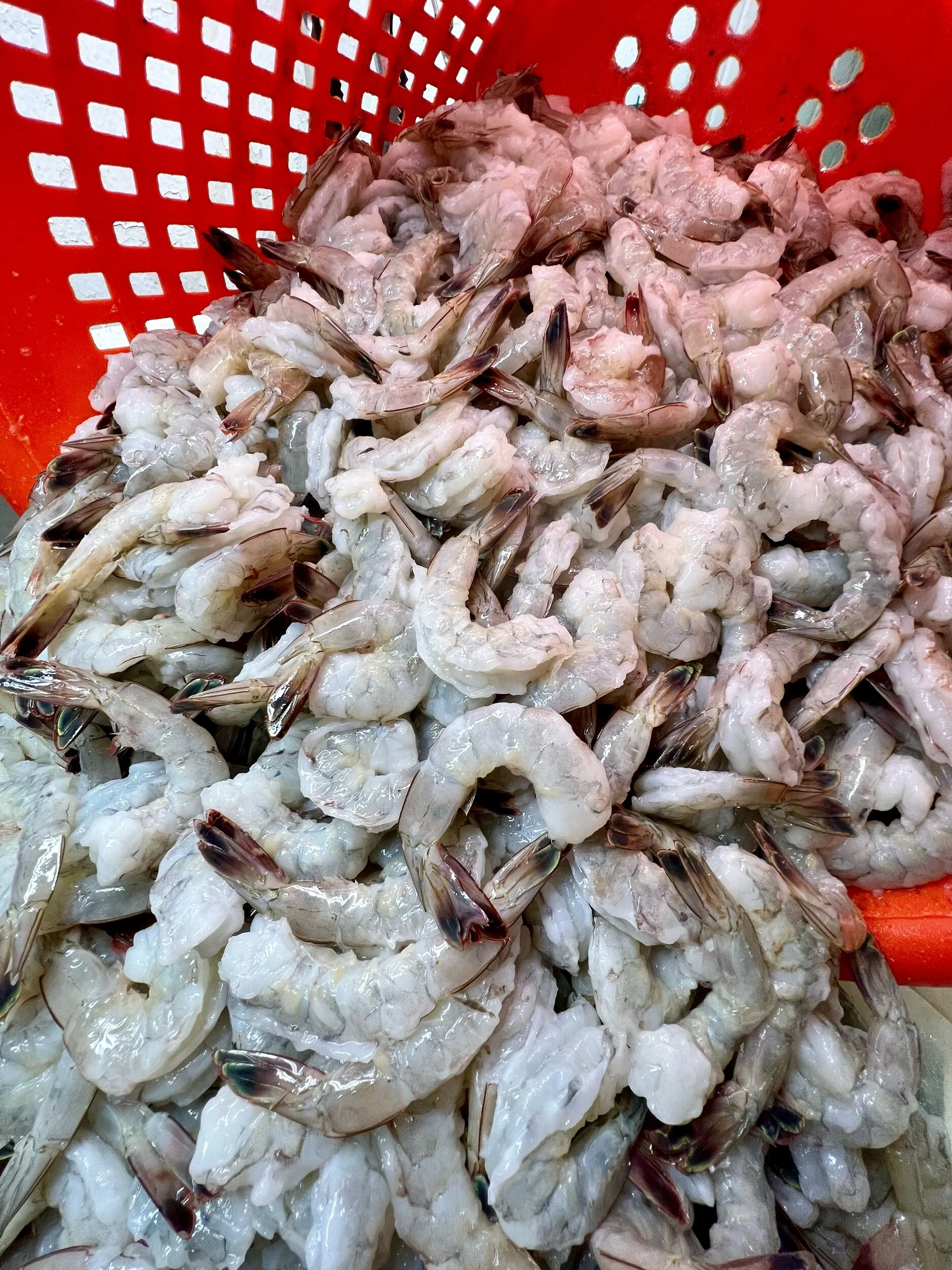 E767C0E9-7F86-40EB-8216-4C8CBFBFCB5A