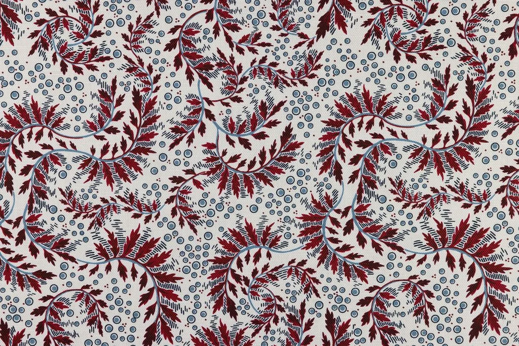 Daintree - Red/Blue