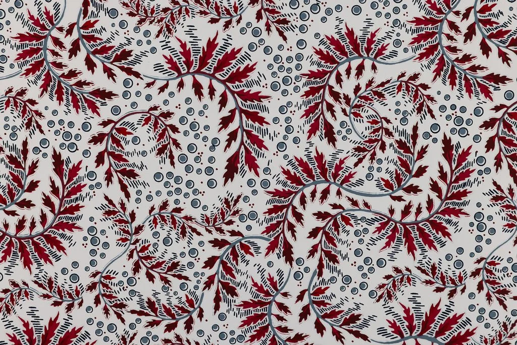 Daintree - Red/Blue