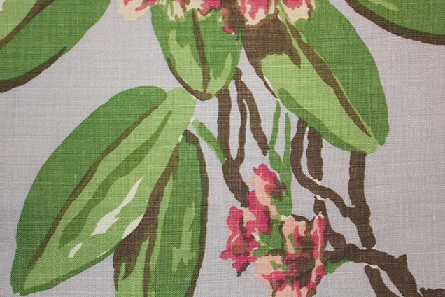 Rhododendron - Lilac