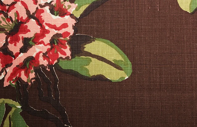 Rhododendron - Espresso