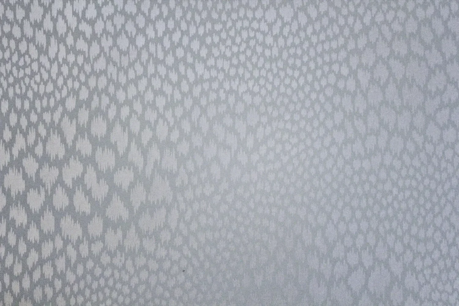 Madagascar - Frost