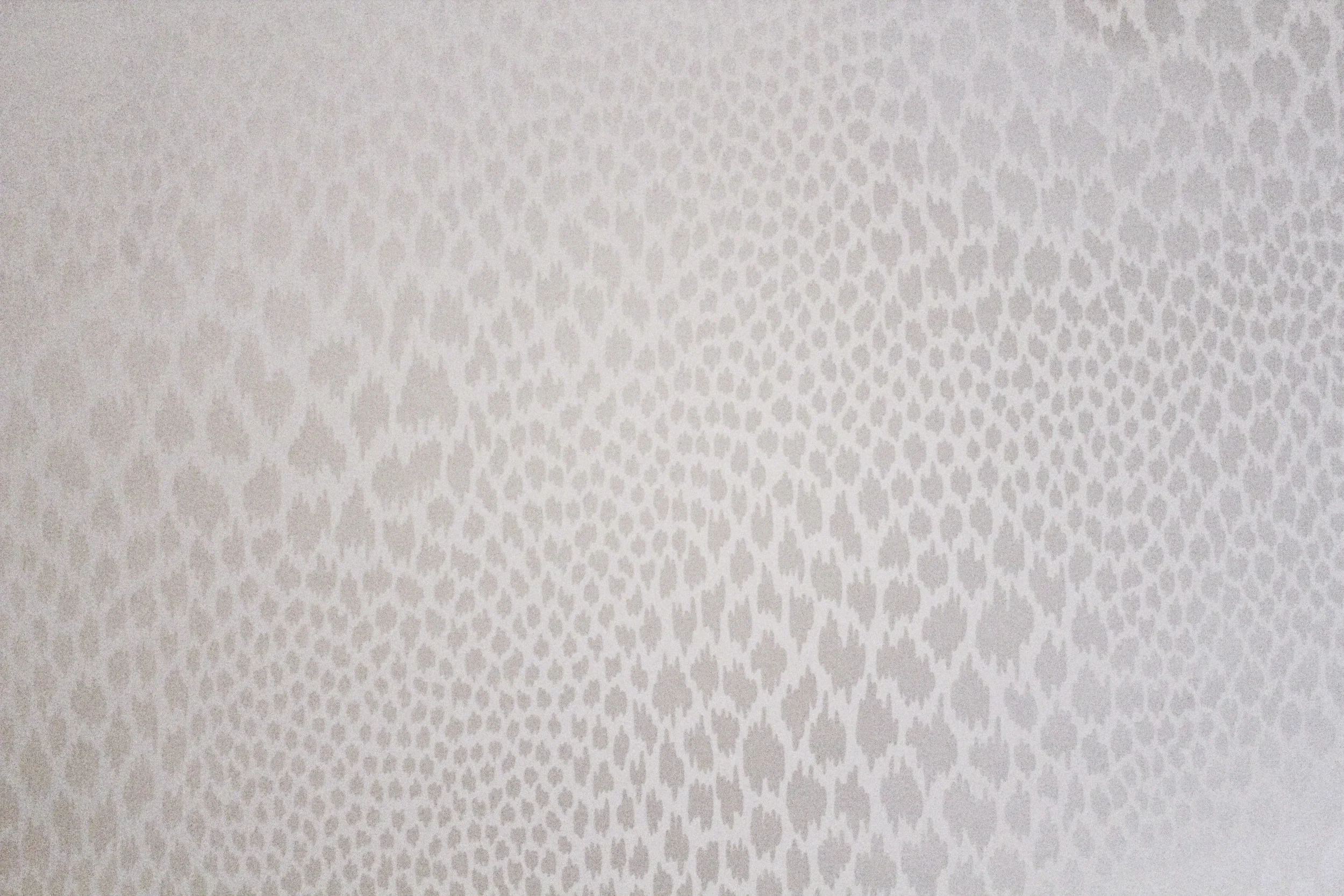 Madagascar - Snow